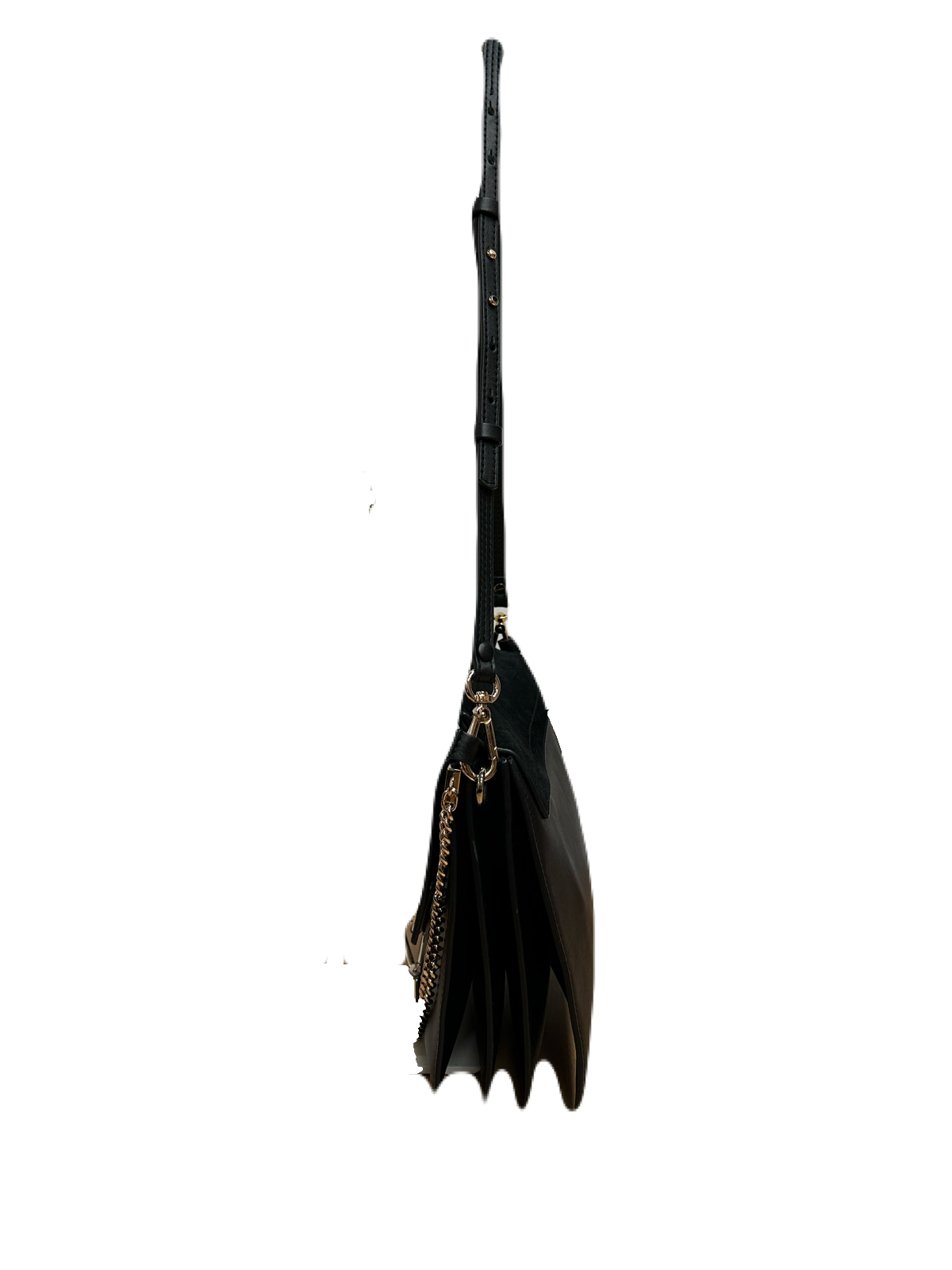 IMG_7388.png