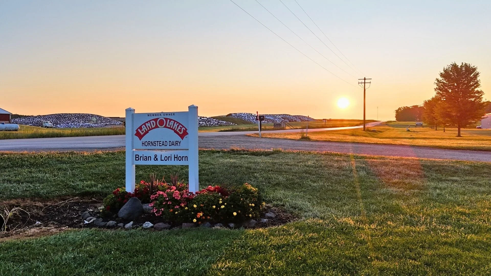 Proactive, Not Reactive: How Hornstead Dairy Uses Technology to Stay Ahead