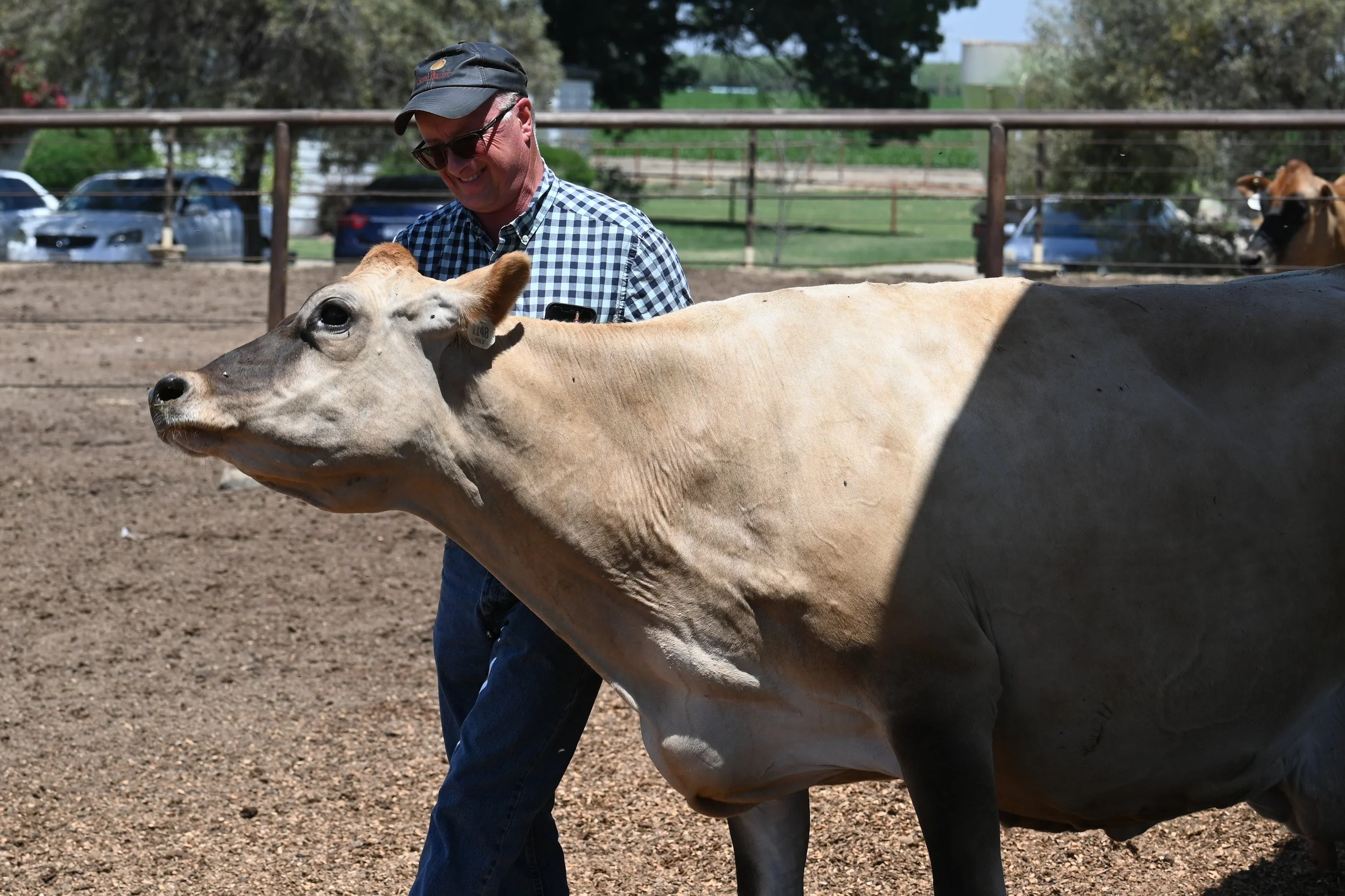 Feeding the World Through Dairy: Genetics, Mentorship and Purpose at Jer-Z-Boyz Ranch