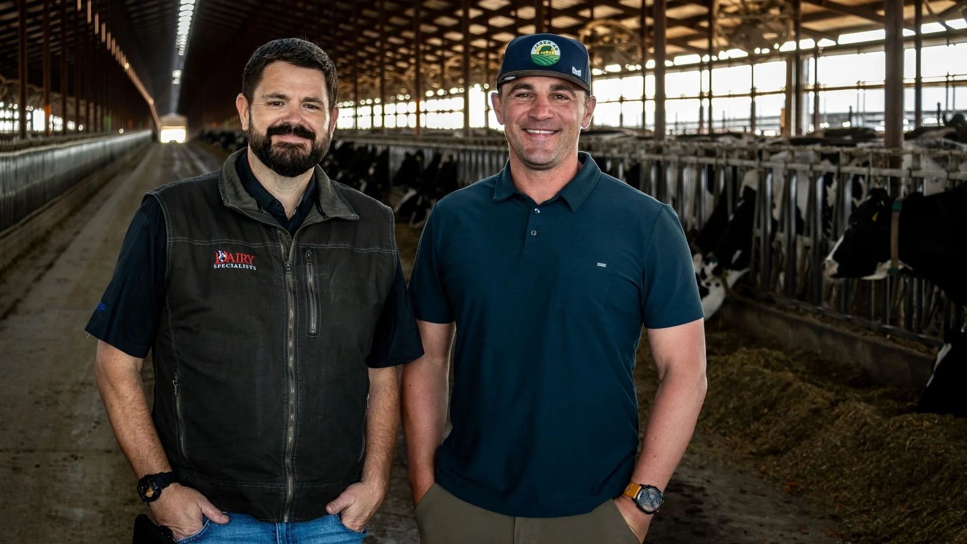 Leading Large Dairies With Clarity and Consistency: Lessons From the Experts