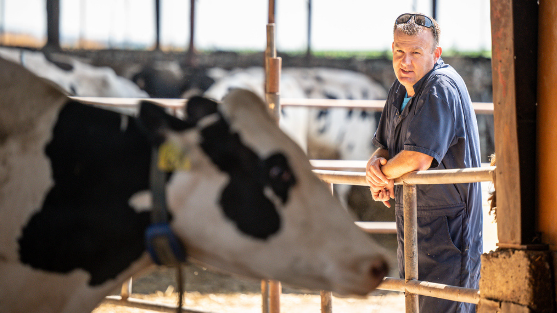 Creating Balance Between Faith, Family and Farming with Marinus Noordam