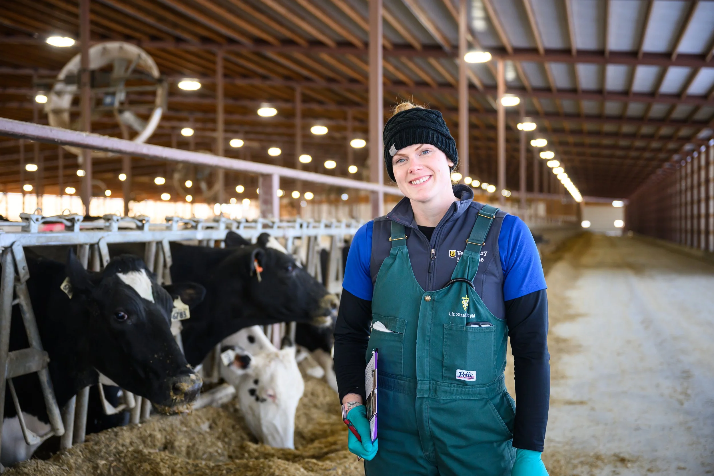 How Strong Producer–Vet Relationships Improve Dairy Herd Performance