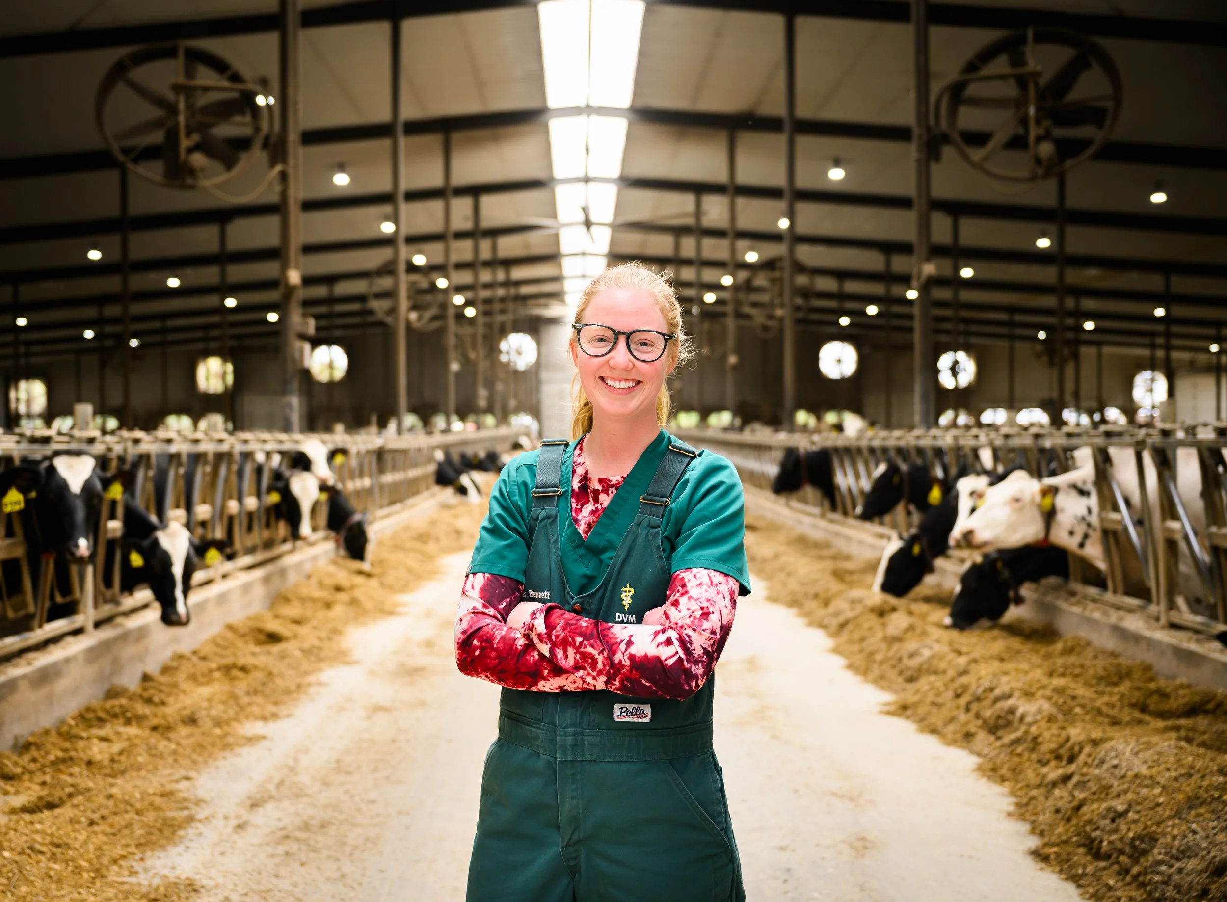 What Makes Great Dairy Veterinarians Stand Out: Curiosity, Trust, and the Willingness to Keep Learning
