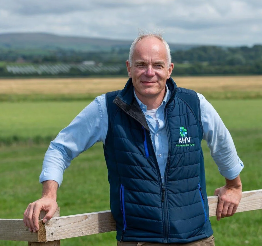 How Immune Modulation Can Improve Dairy Cow Health and Performance