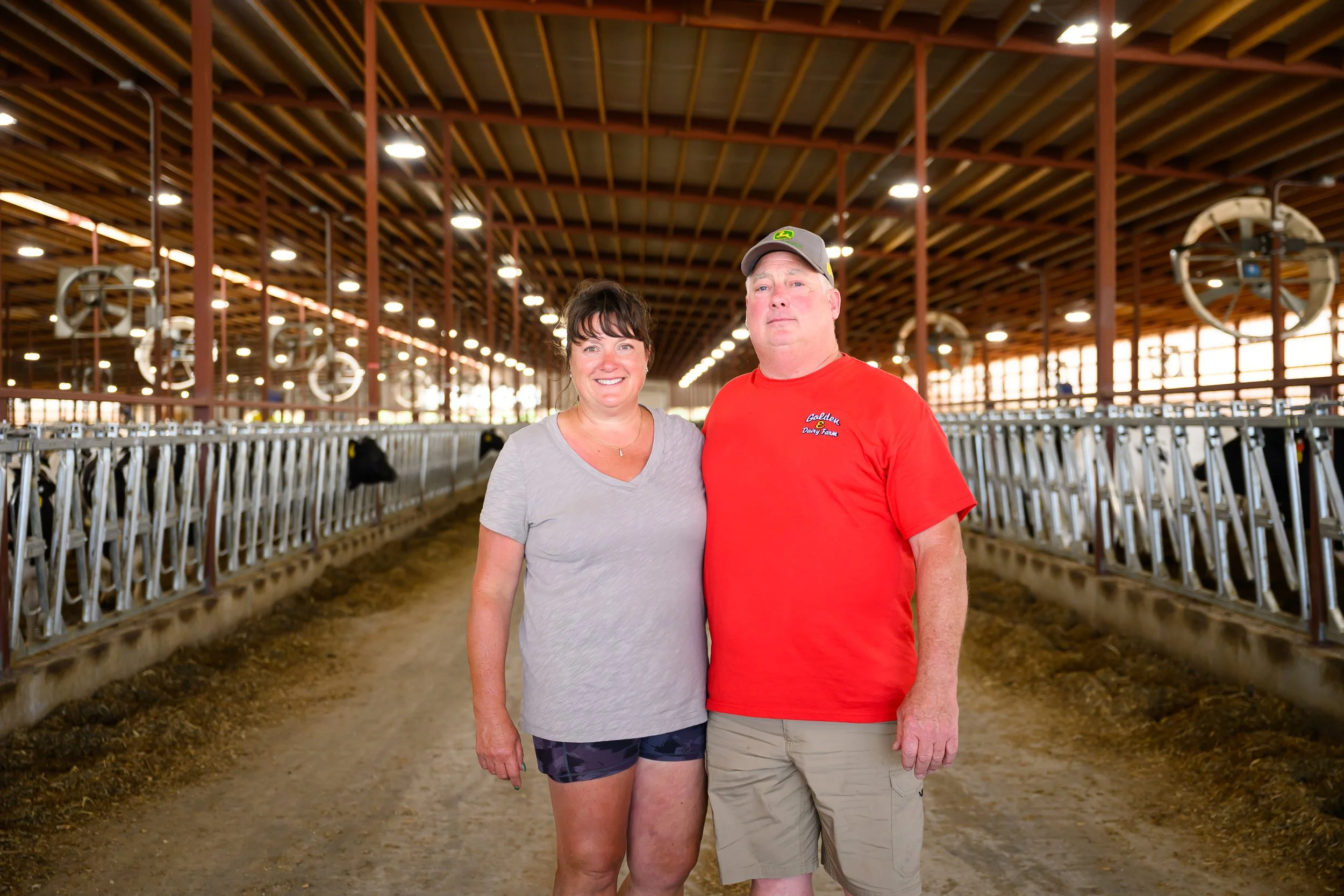 What It Really Takes to Build a Dairy Farm from the Ground Up