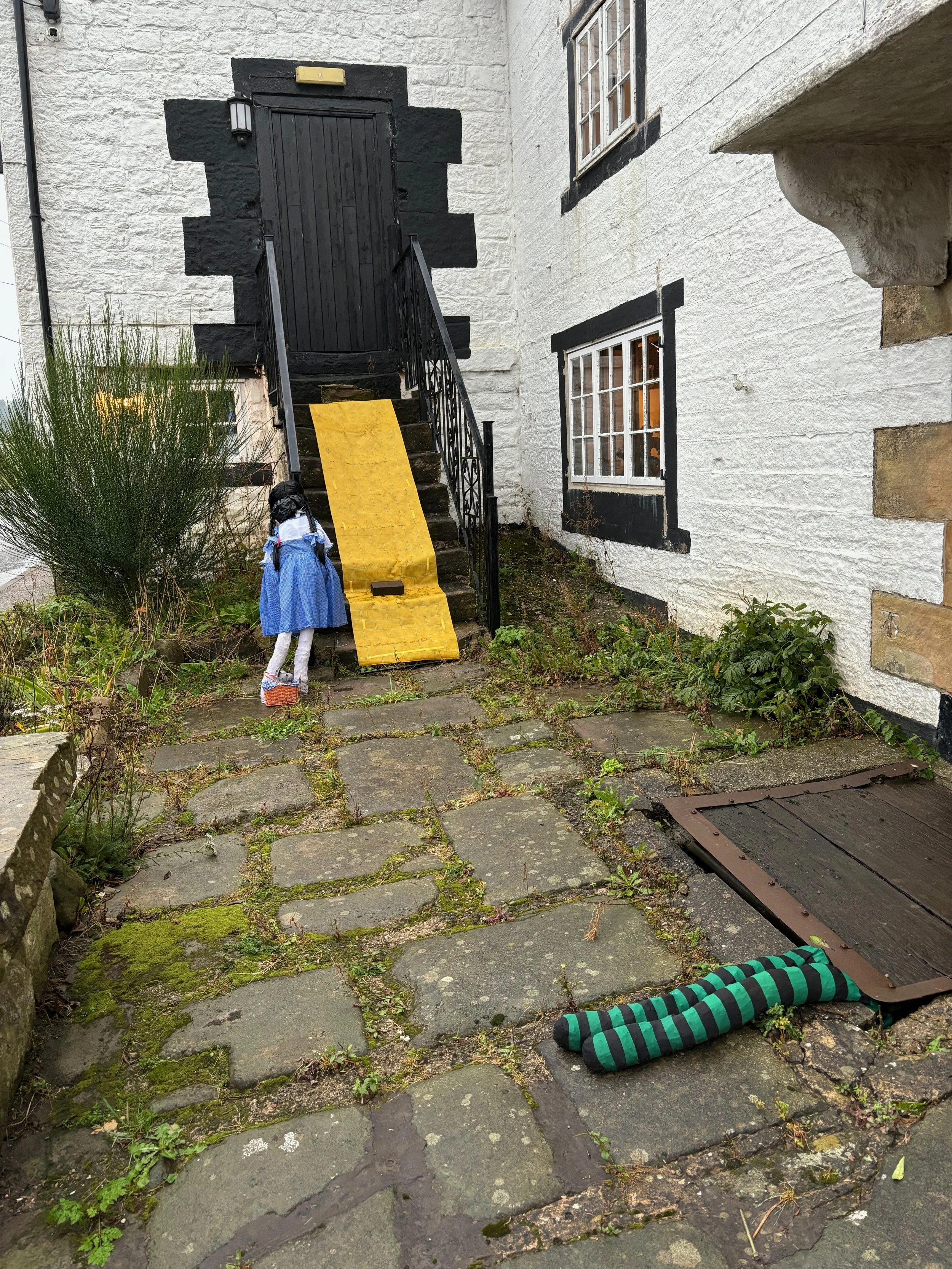 IMG_5098.jpeg