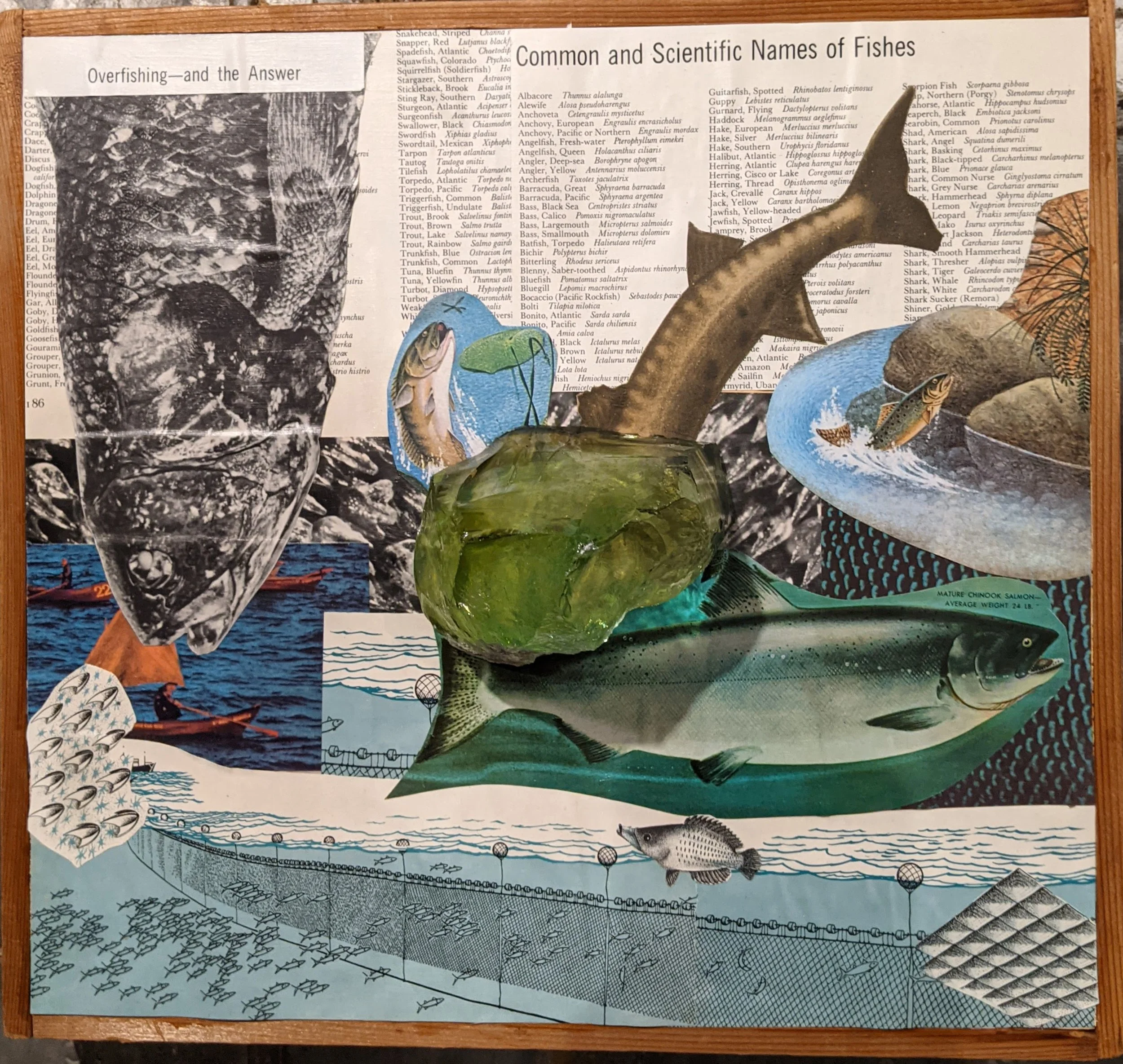 2021
Overfishing And The Answer
Mixed Media