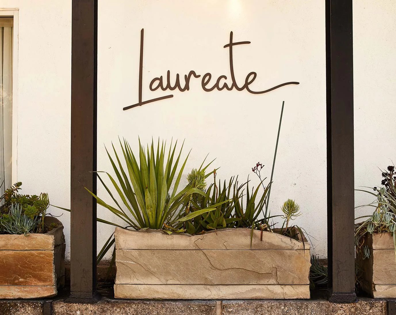 Laureate — STUDIO MONTEMAYOR