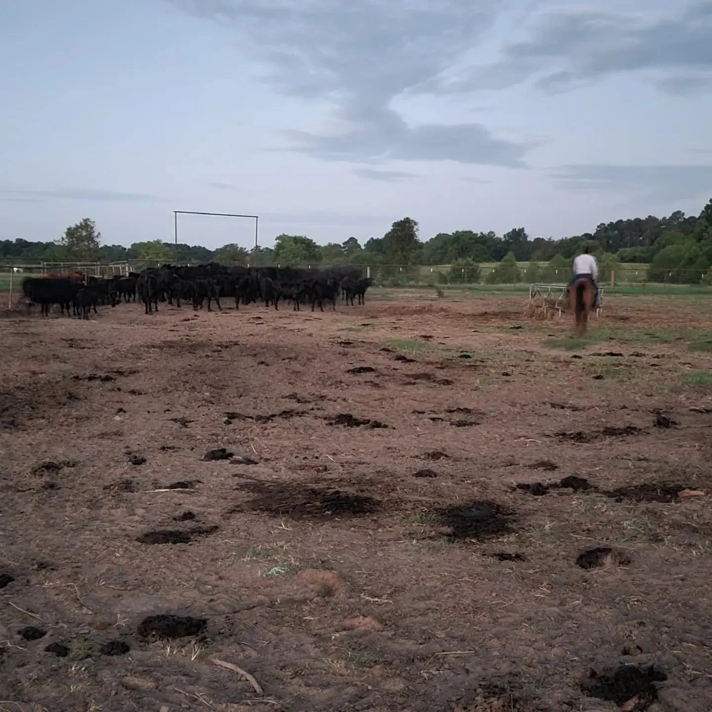 Practices — Barton Ranch Beef