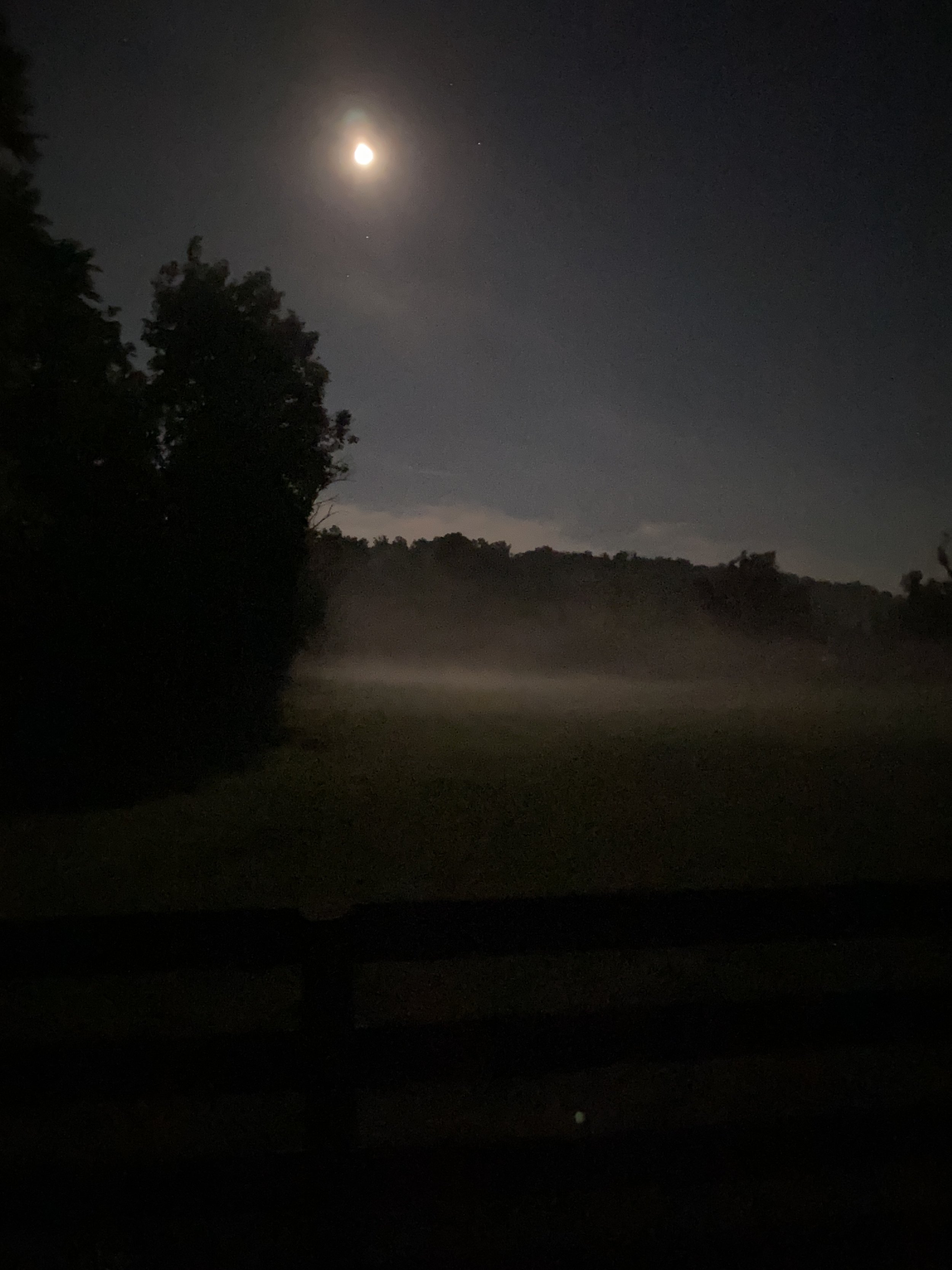 20210623_024748840_iOS.jpg
