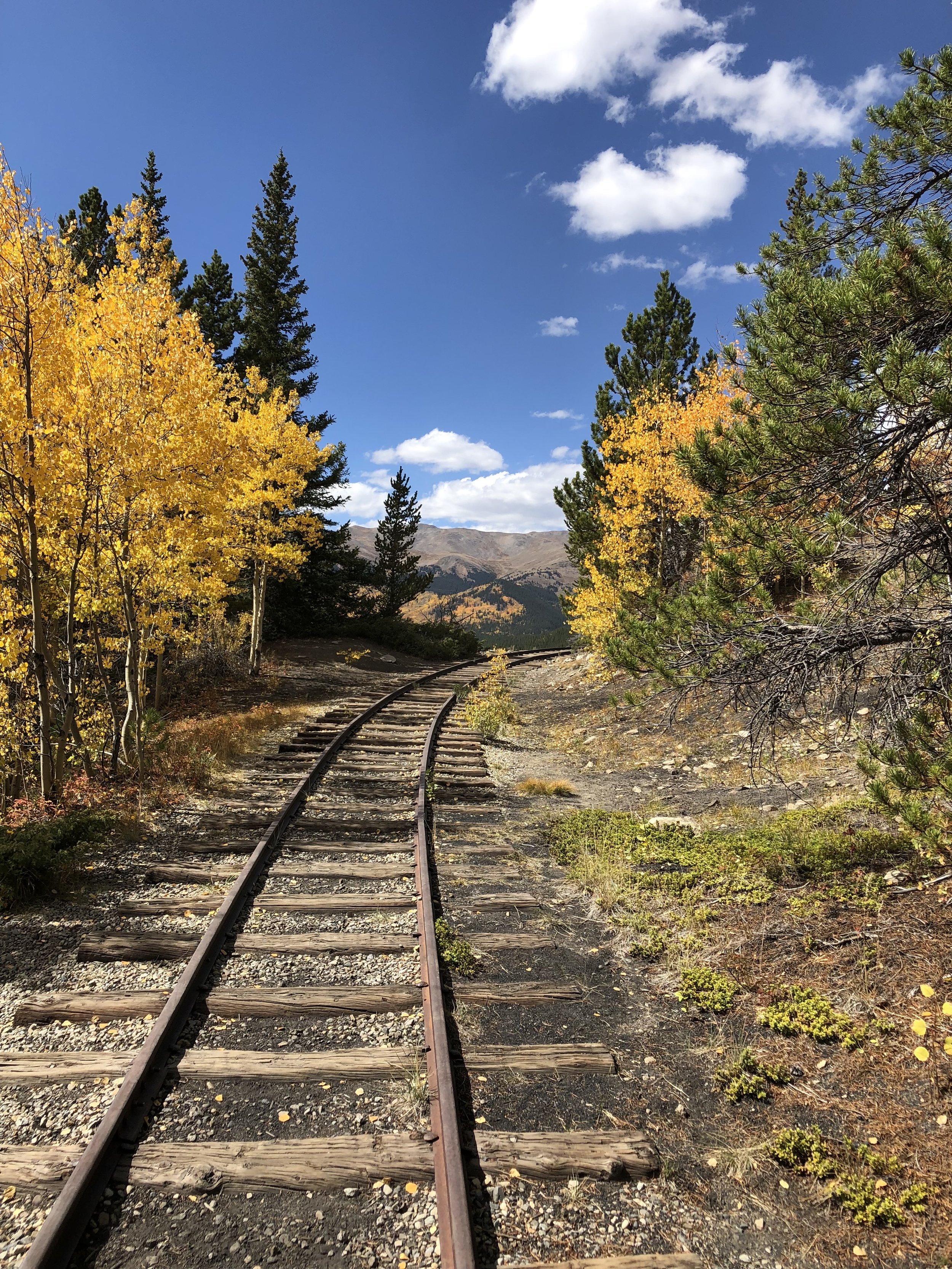 Follow The Path That Calls To You