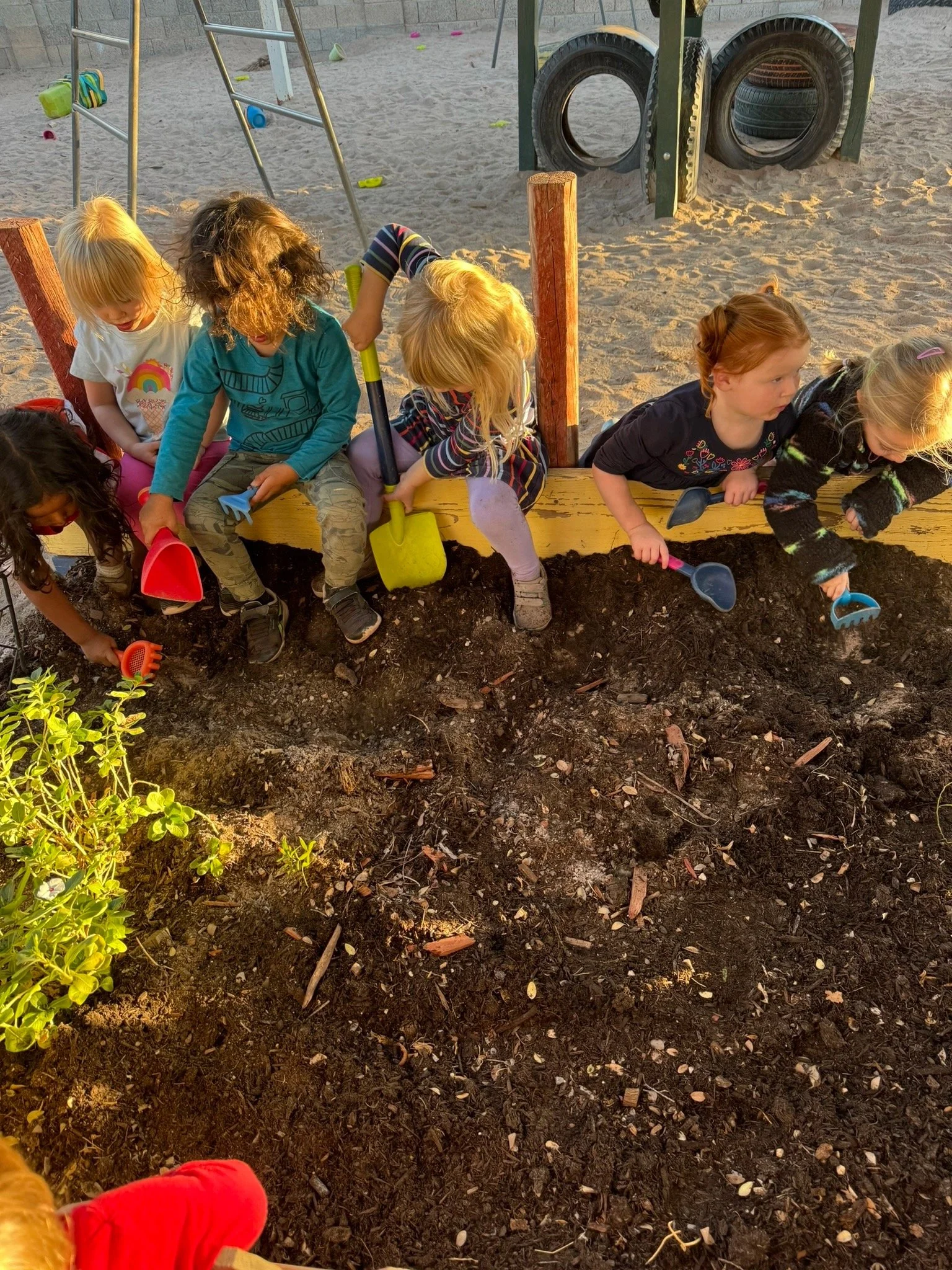 Tempe Montessori School