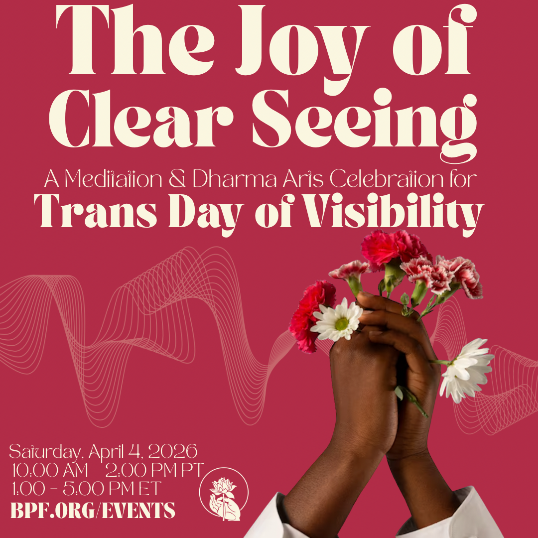 The Joy of Clear Seeing: Trans Day of Visibility Dharma + Art Retreat/Celebration