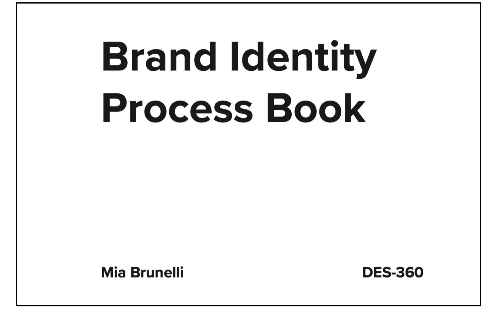 Process Book