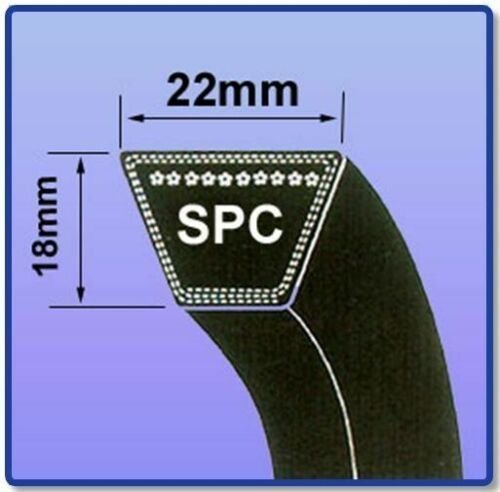 spc+belt.jpg