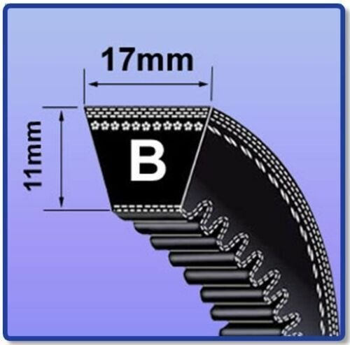 bx+belt.jpg