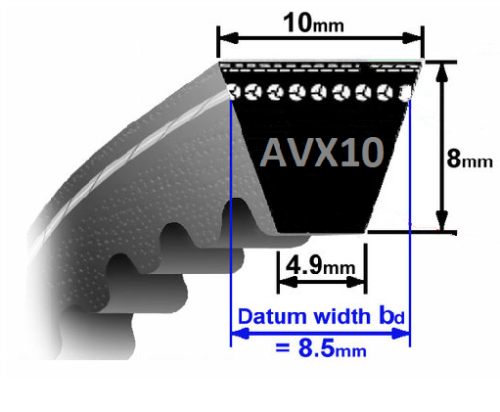 AVX10  IMAGE.png (Copy) (Copy) (Copy) (Copy) (Copy) (Copy) (Copy) (Copy) (Copy) (Copy) (Copy) (Copy) (Copy) (Copy) (Copy) (Copy) (Copy) (Copy) (Copy) (Copy) (Copy) (Copy) (Copy)