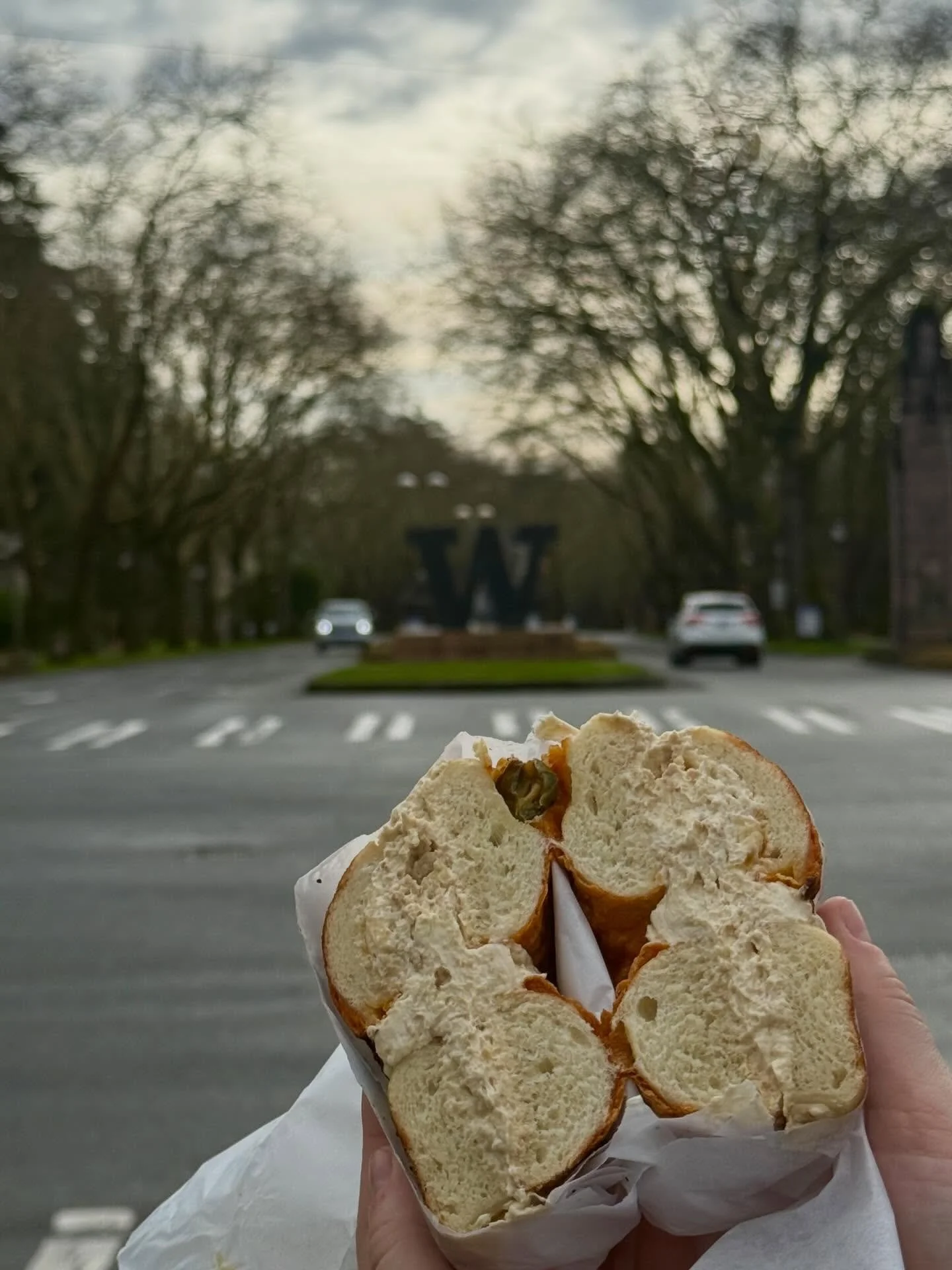 Cloudy in Seattle. Warm bagels in the U-District. Come stop by this weekend! #seattlebagels #seattlecoffee #udistrict