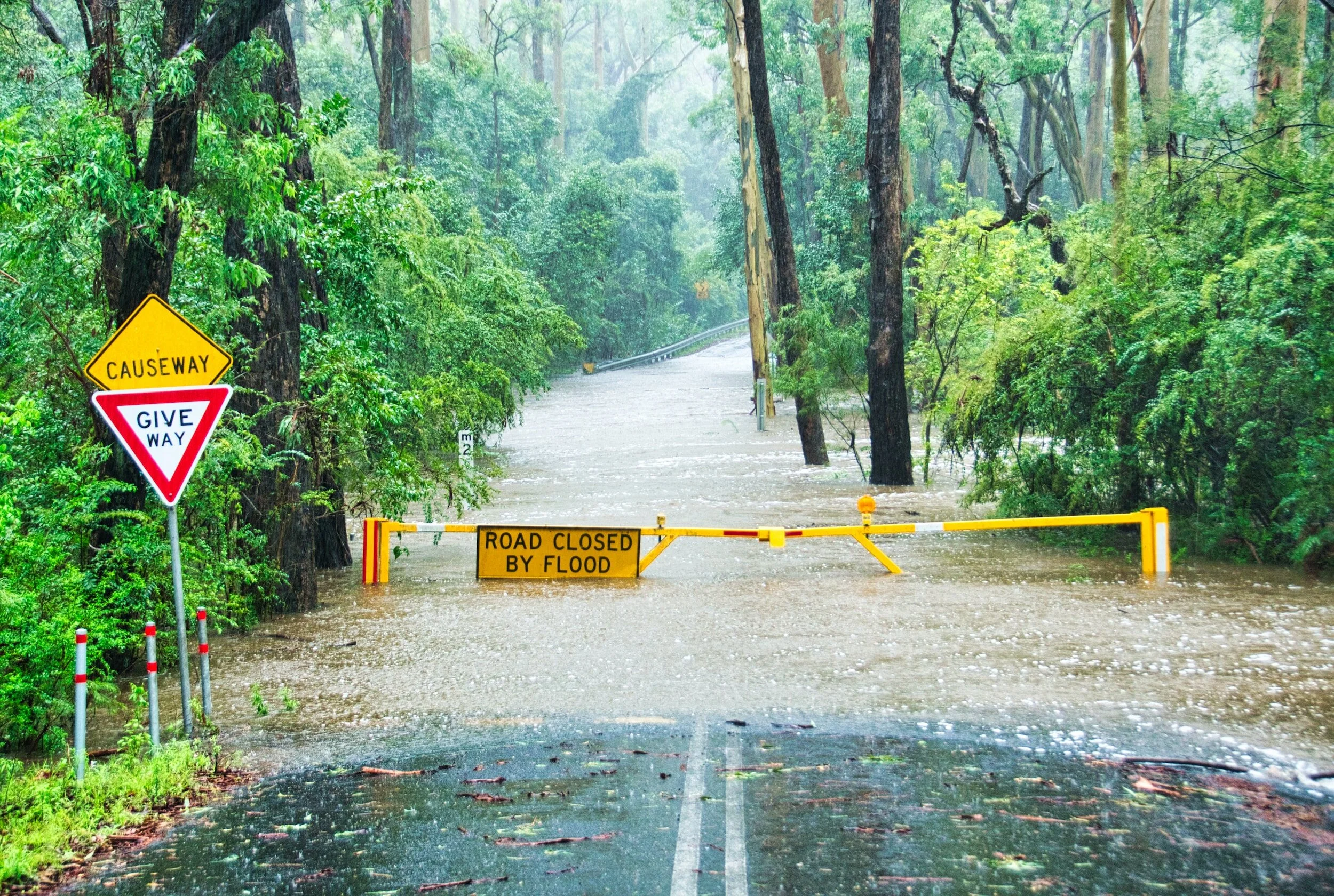 The Vital Role of Ham Radio in Disaster Preparedness