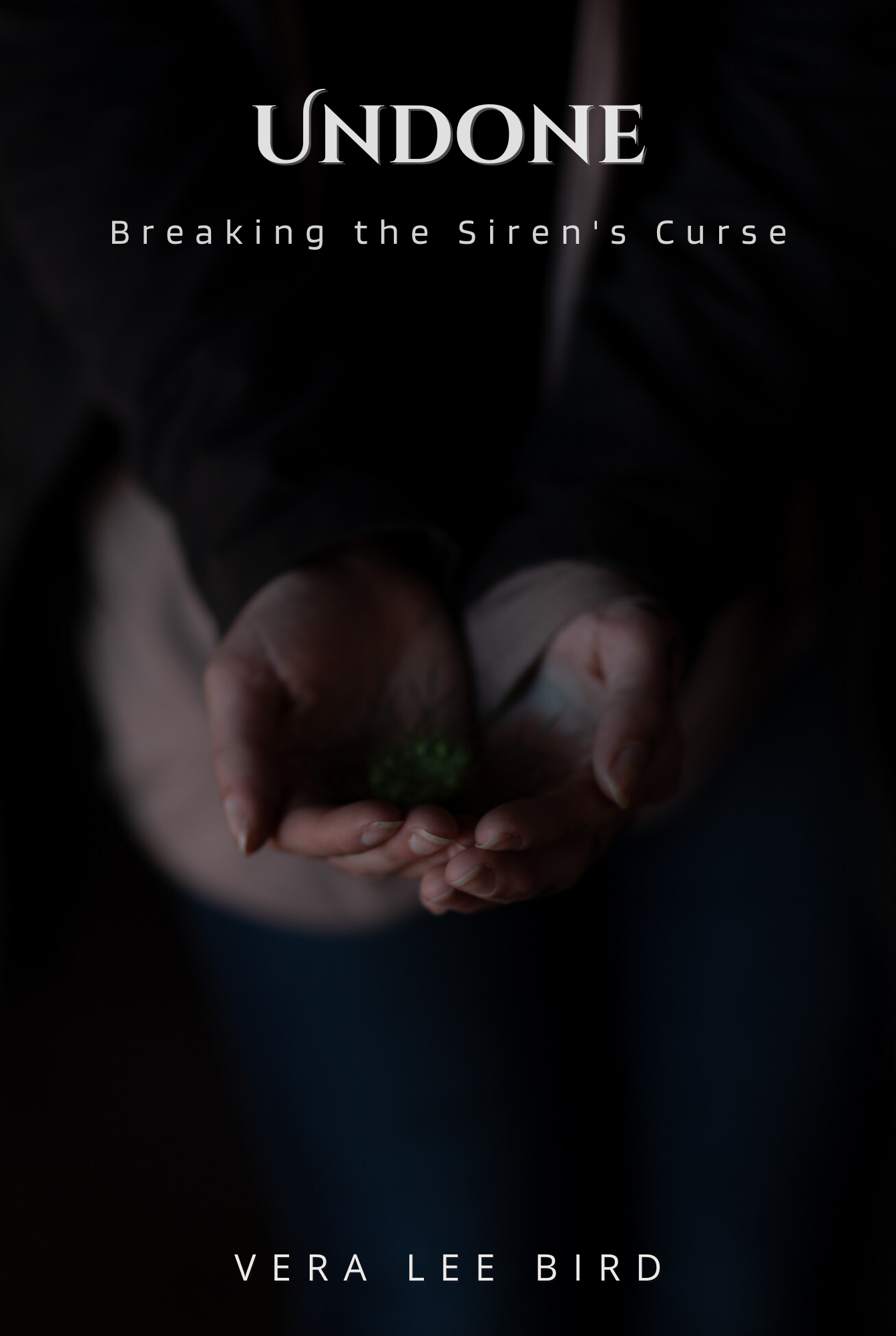 Sponsor a book in progress!