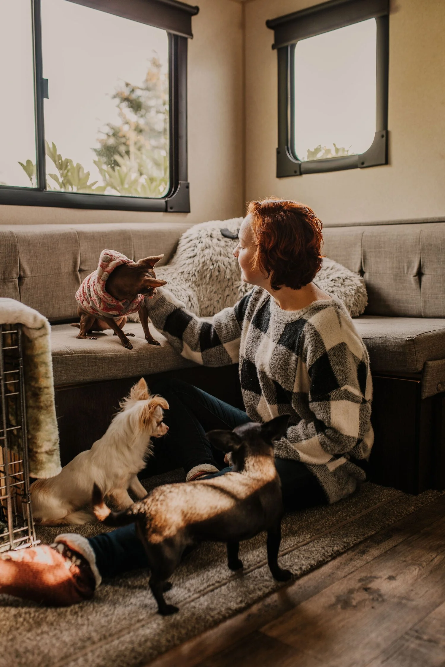 Precious Vulnerability | The art of letting down the walls