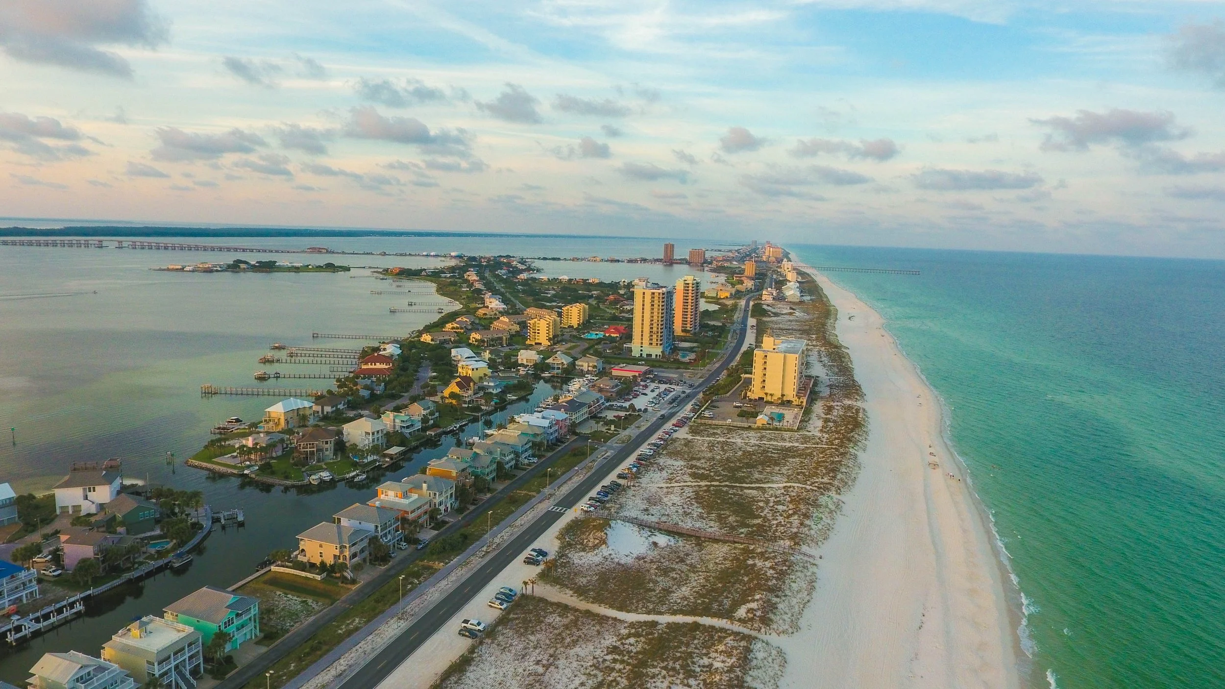Birds of the Gulf Coast