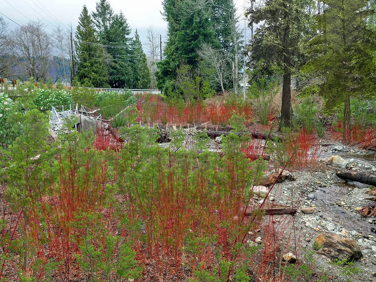 Exeltech WSDOT SR530 Trafton and Schoolyard Creek Fish Passage.jpg