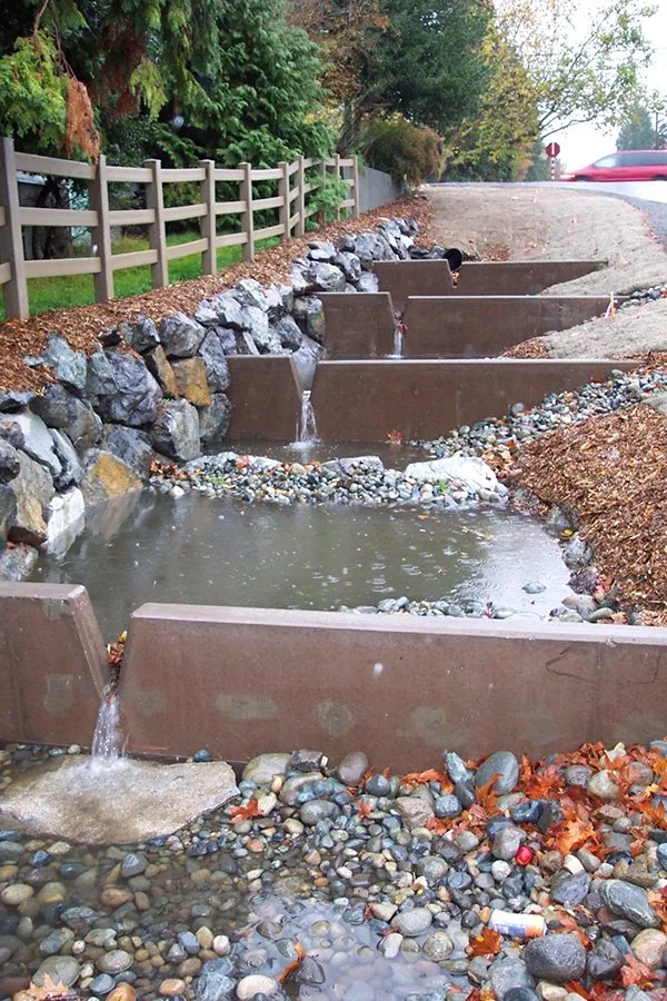  Credit Seattle Public Utilities Green Water Infrastructure, seattle.gov 