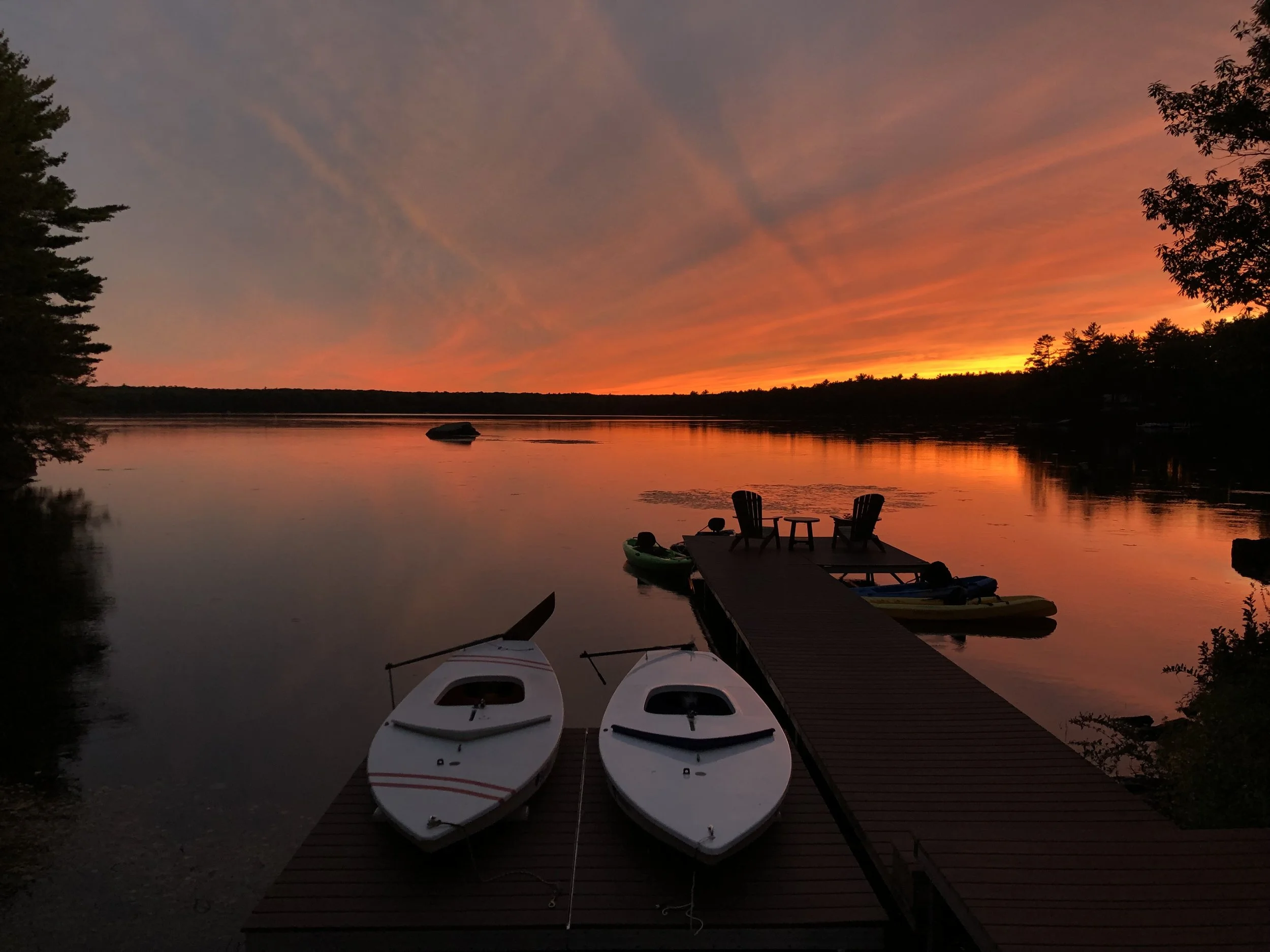 #31