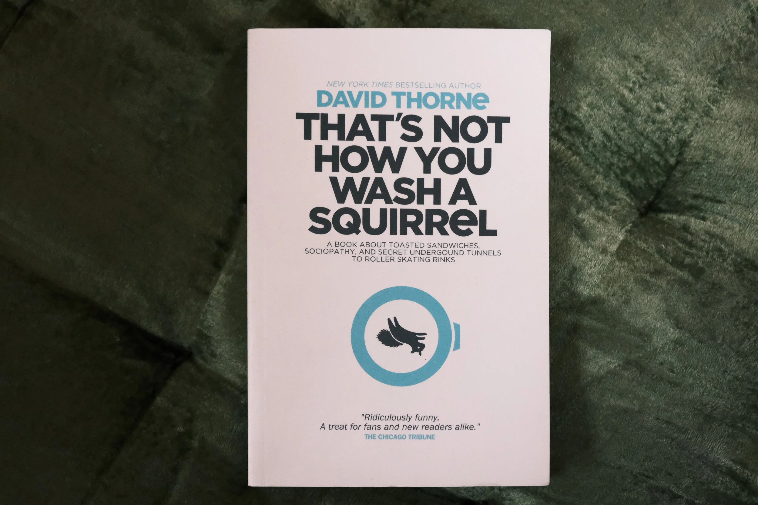 that’s not how you wash a squirrel