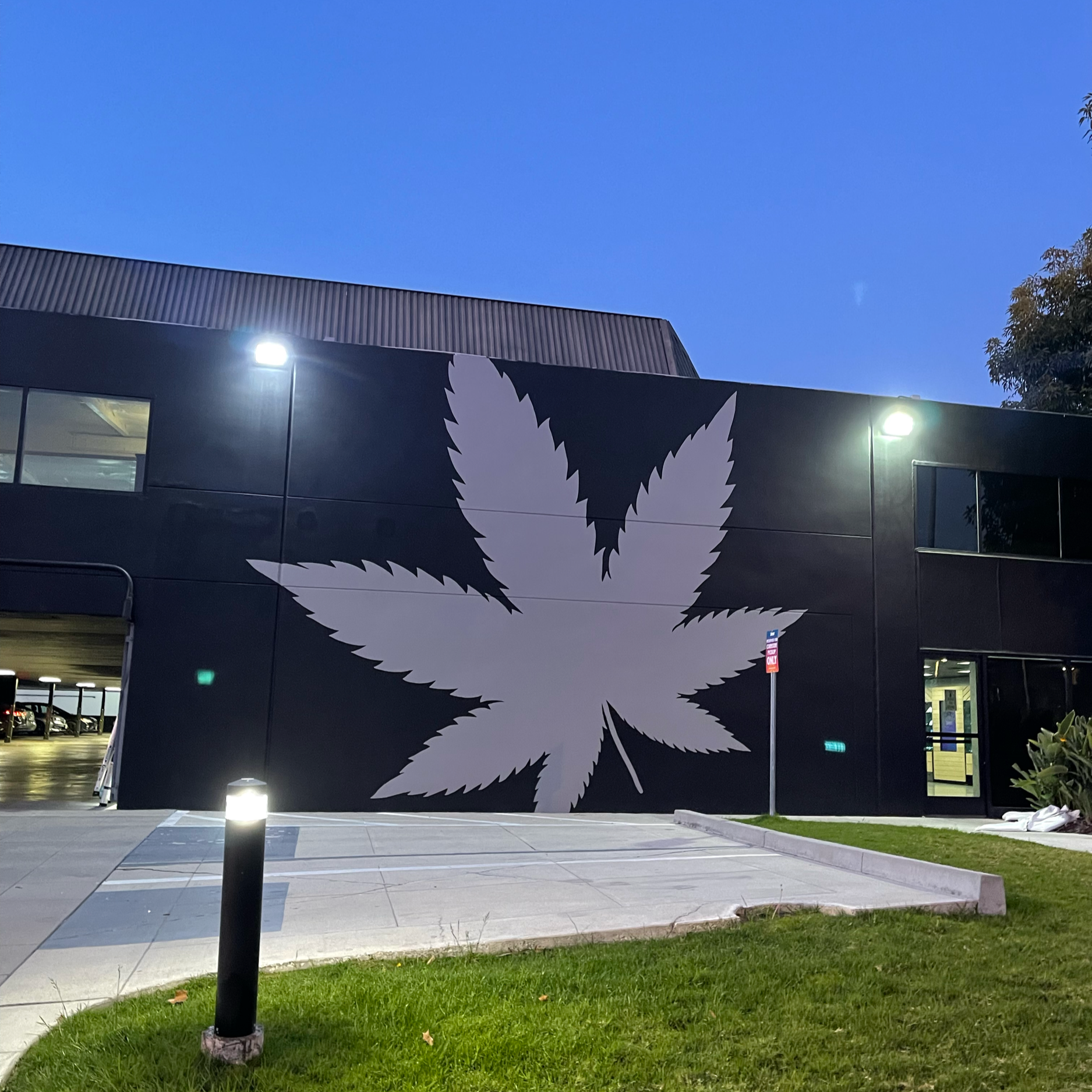Cannabis leaf silhouette - Blum Dispensary Santa Ana, CA