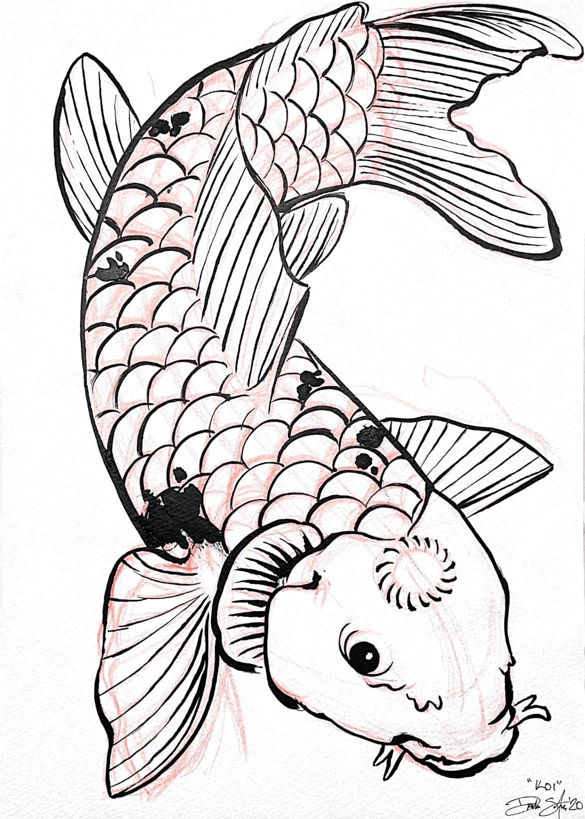 KOI