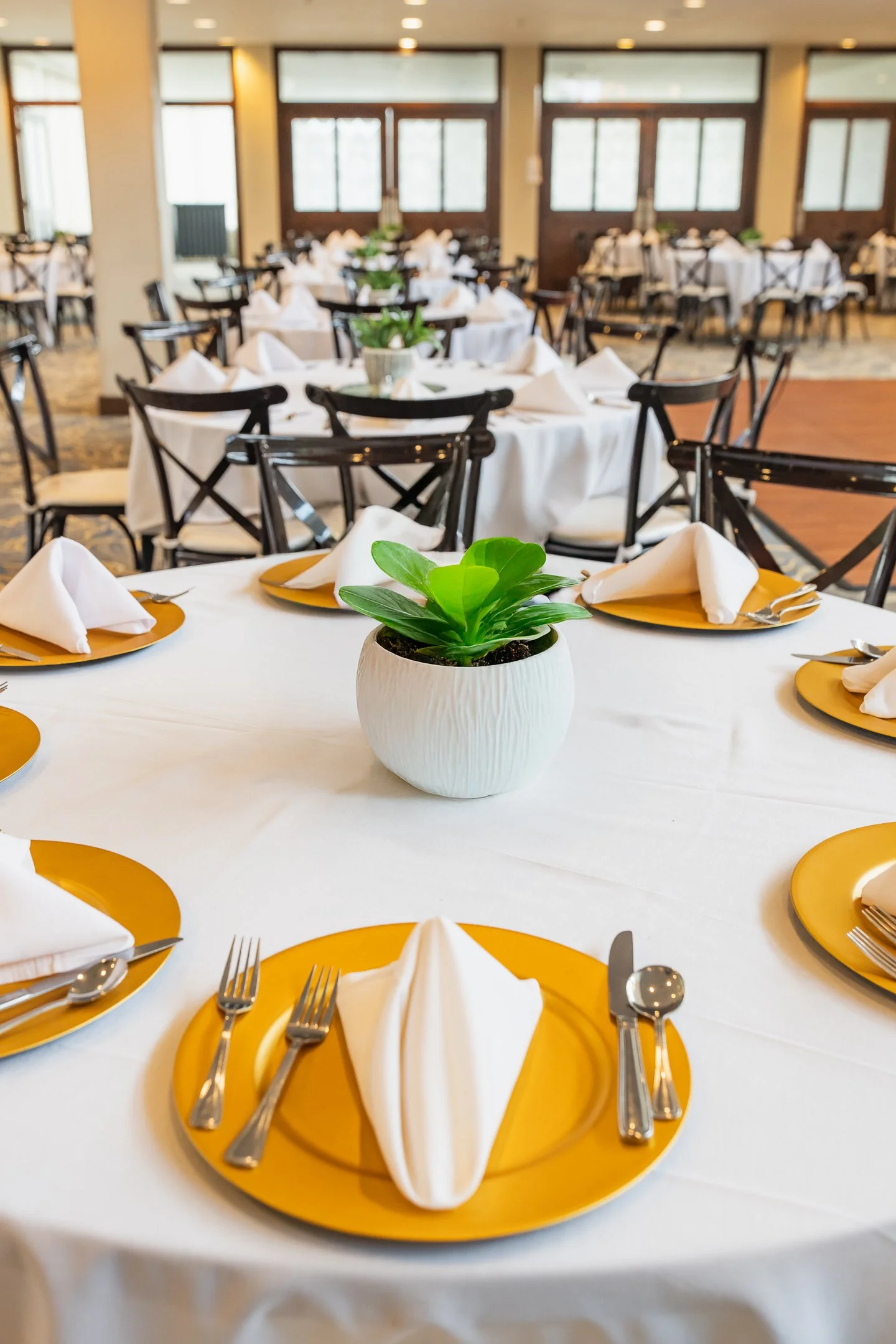 JacobKitchens SSHCC-1-2.jpg