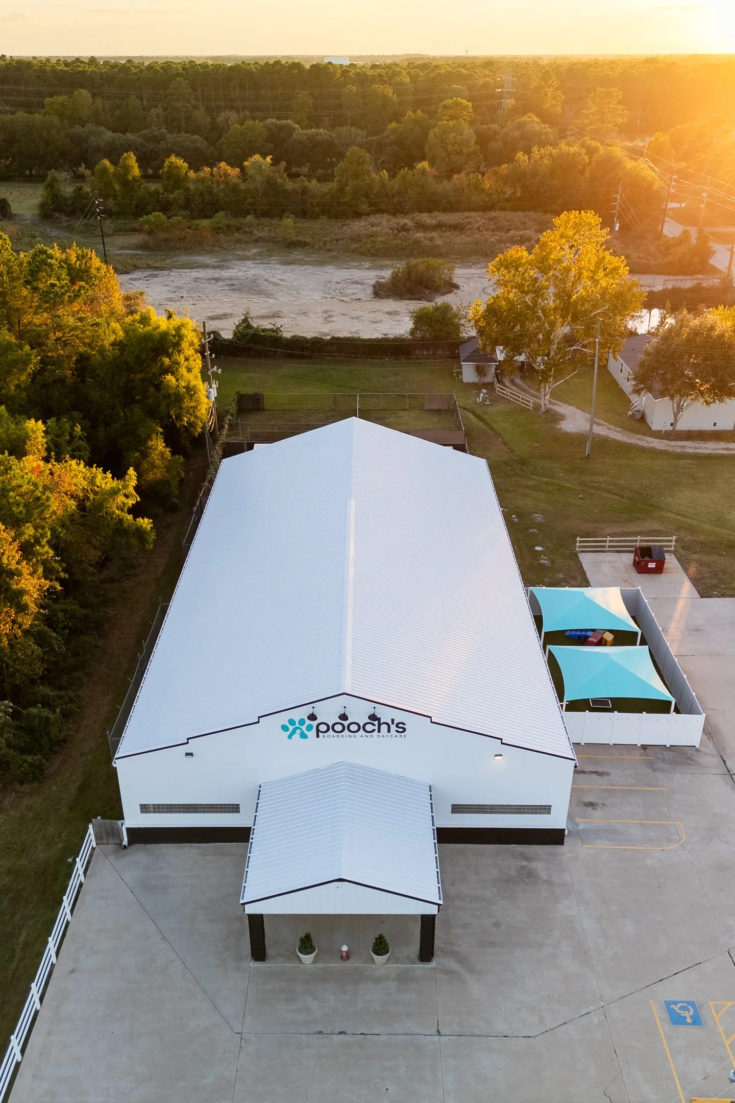 JacobKitchens poochs-1.jpg