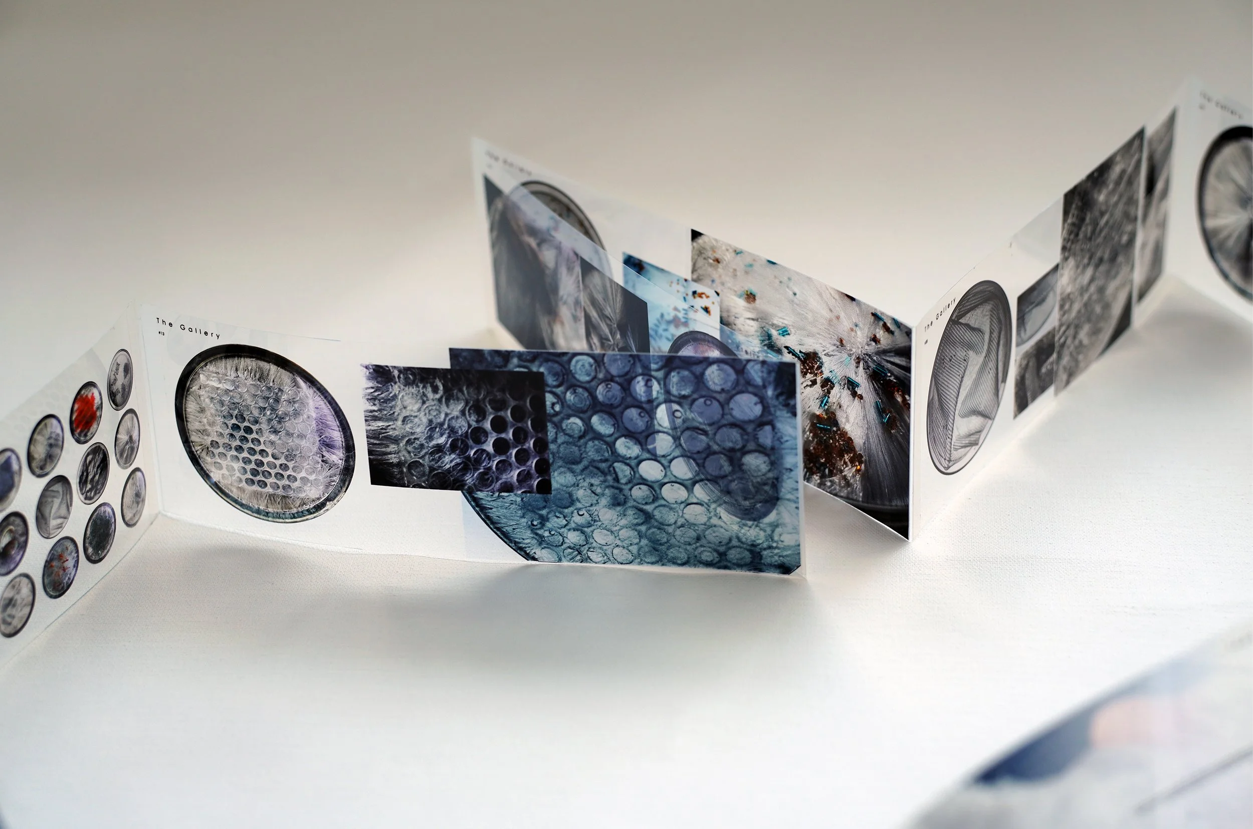 Yumeng Li, Crystallization I-3.jpg