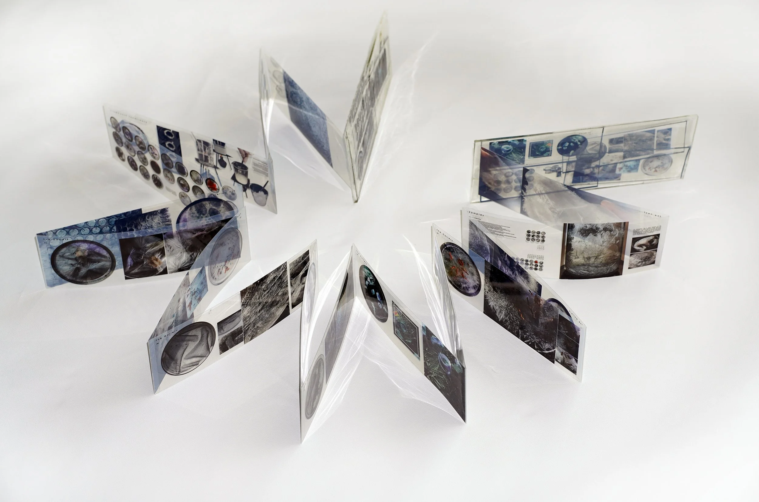 Yumeng Li, Crystallization I-1.jpg