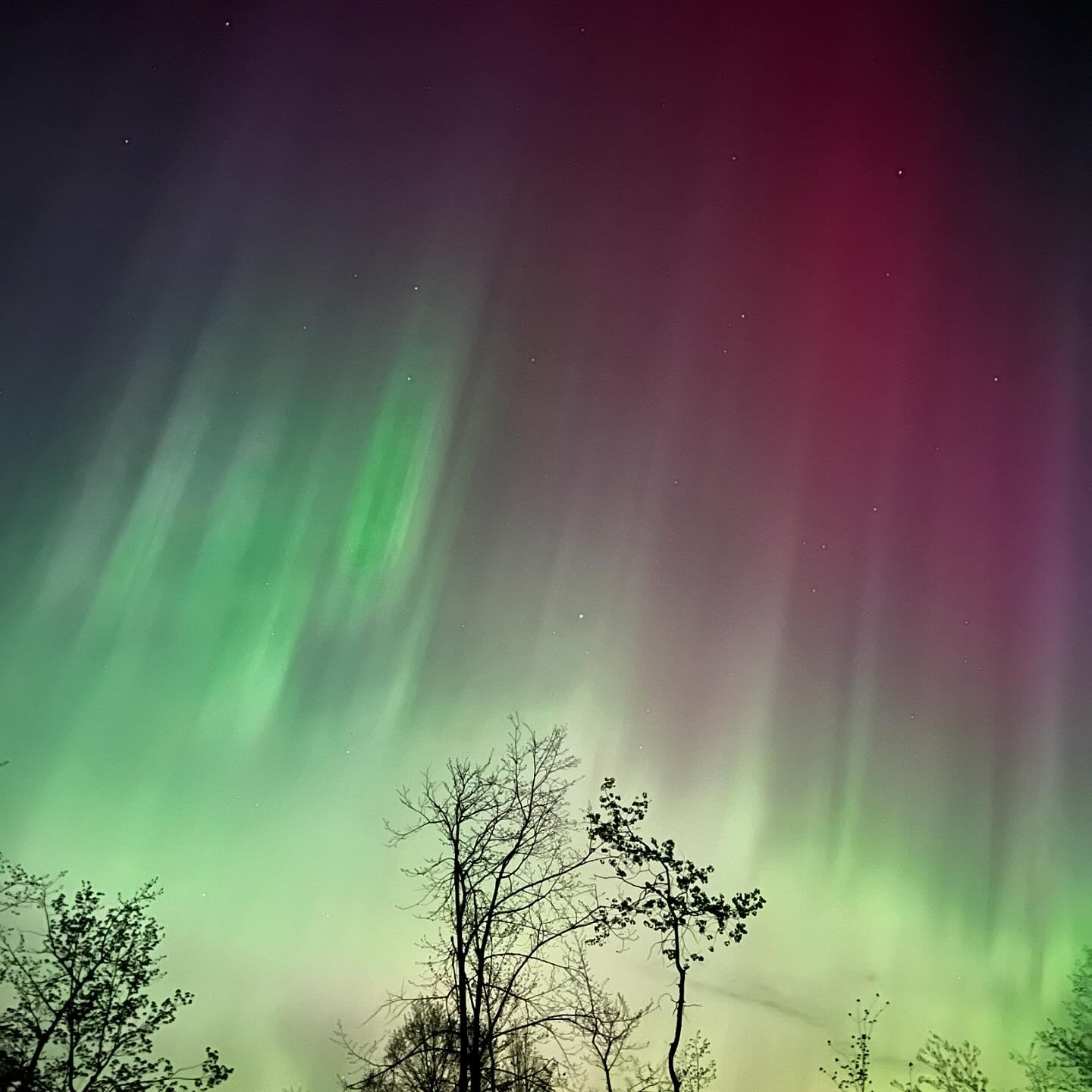 It is crazy to me that I&rsquo;ve traveled to Iceland to chase the northern lights saw nothing, and got the best show in Emily, MN on a night that we didn&rsquo;t even know if we&rsquo;d see them again. 

I sat outside with my family, watching their 