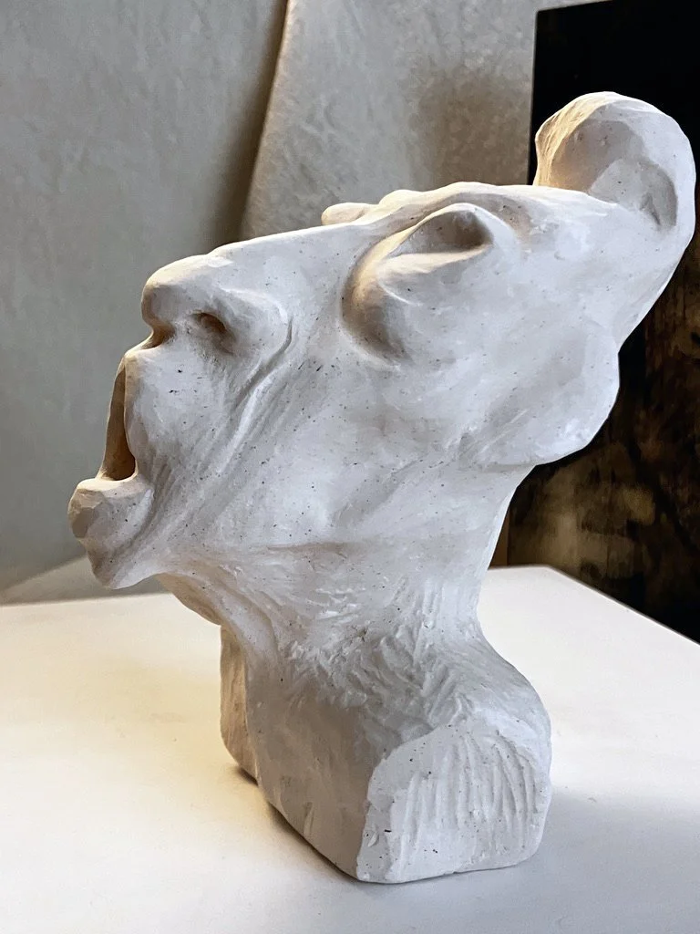 face52.jpg