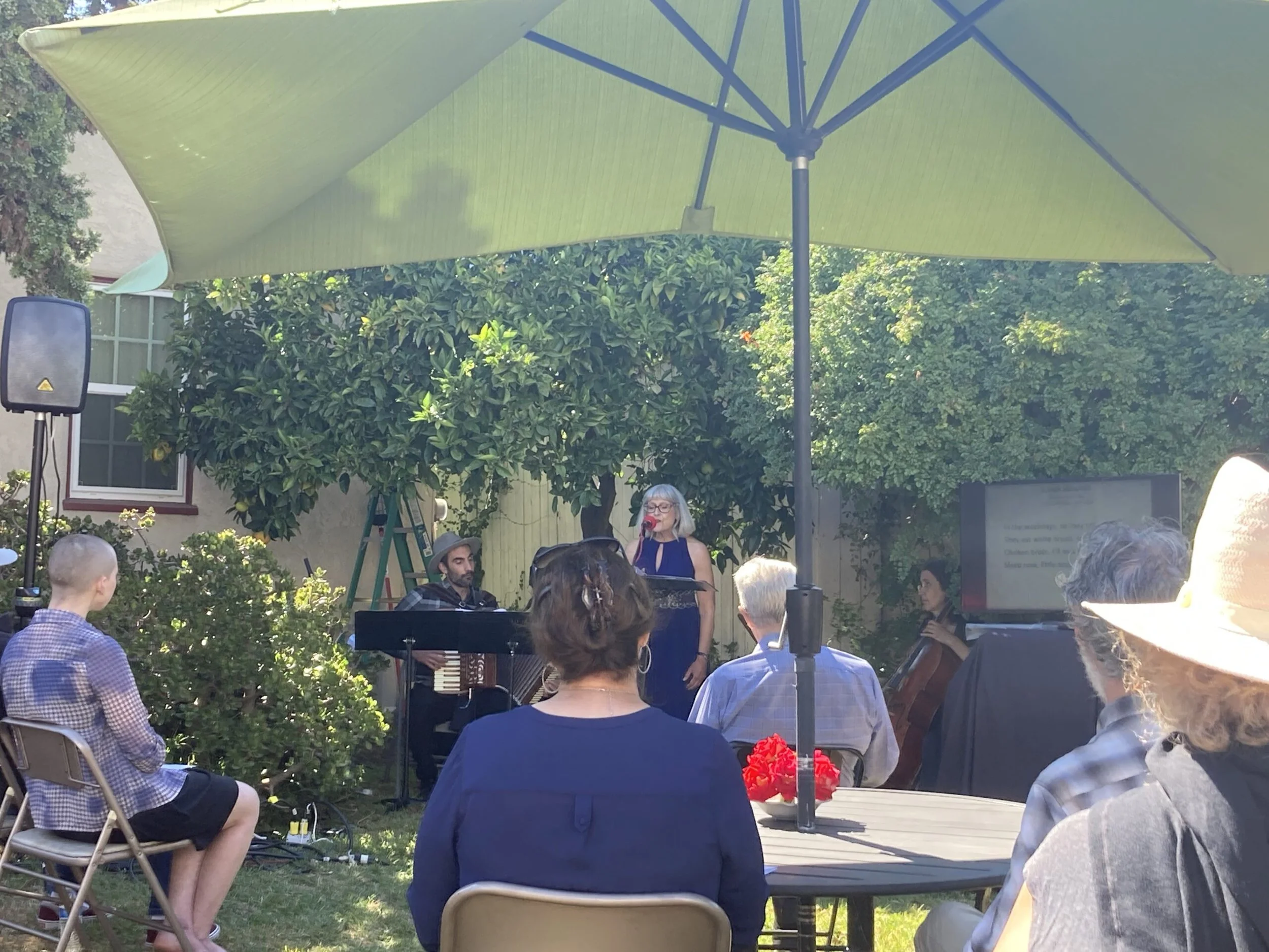 Backyard Concert in Long Beach, CA