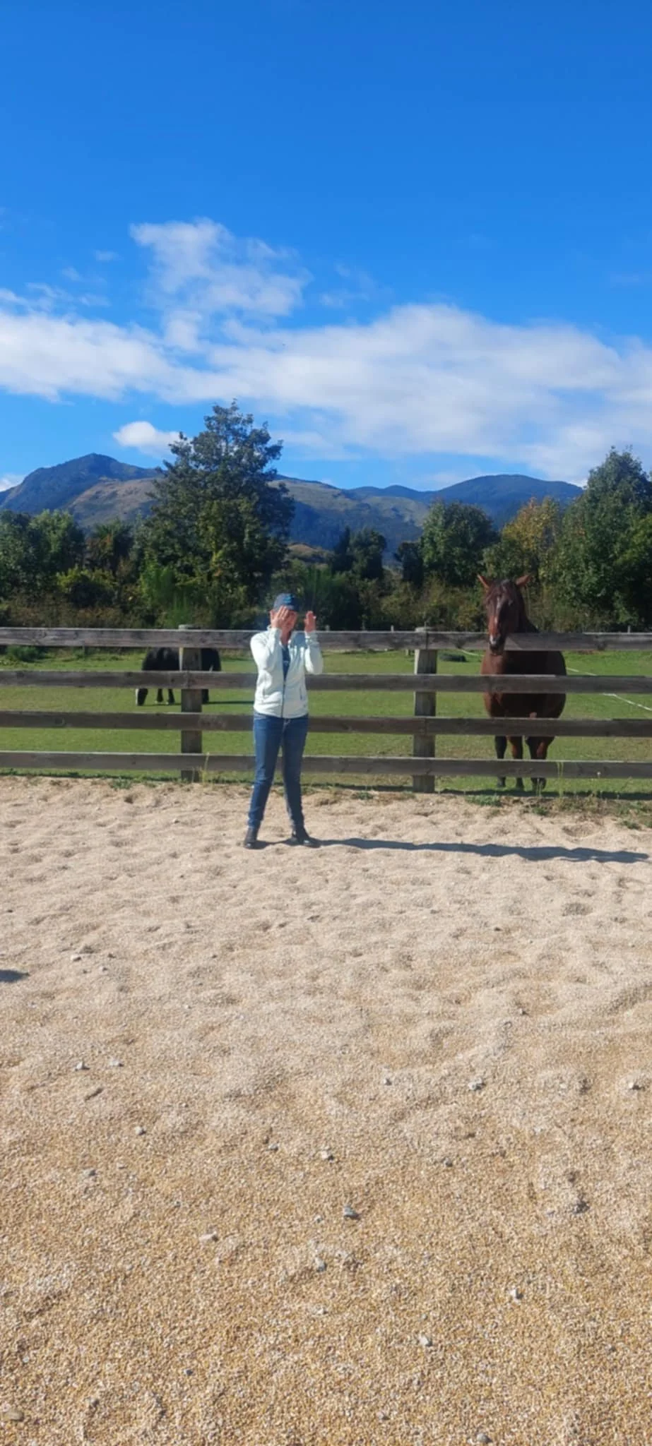 Inquisitive RDA.jpeg