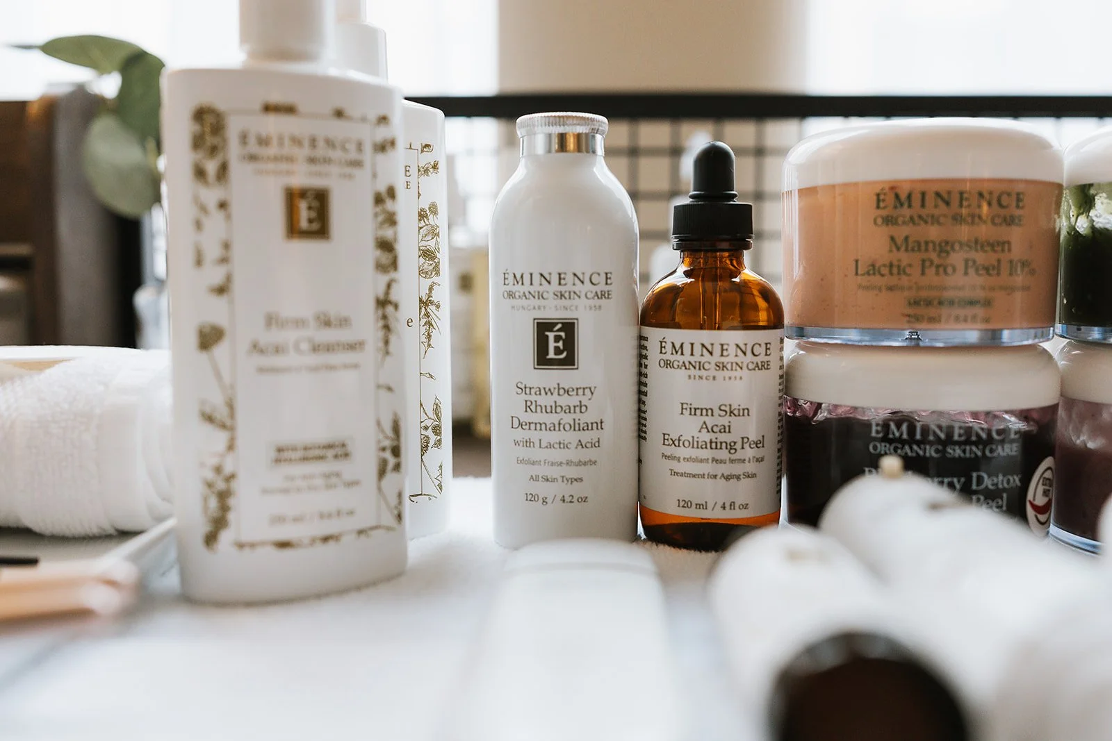 Fabella Branding 2025-1337.jpg