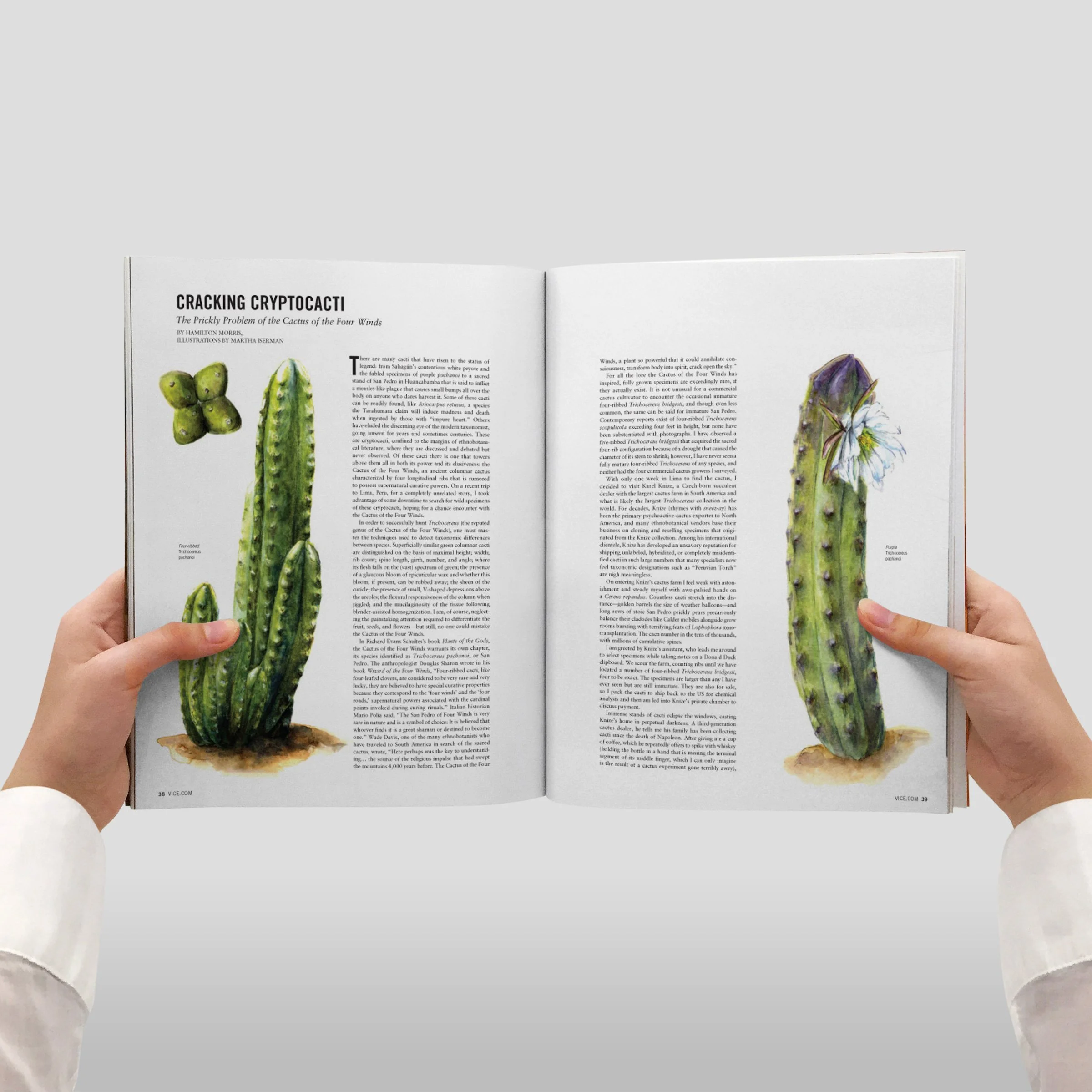 VICE Magazine, Vol. 19 No. 5, The It's Actually Quite Weird Issue, May 2012