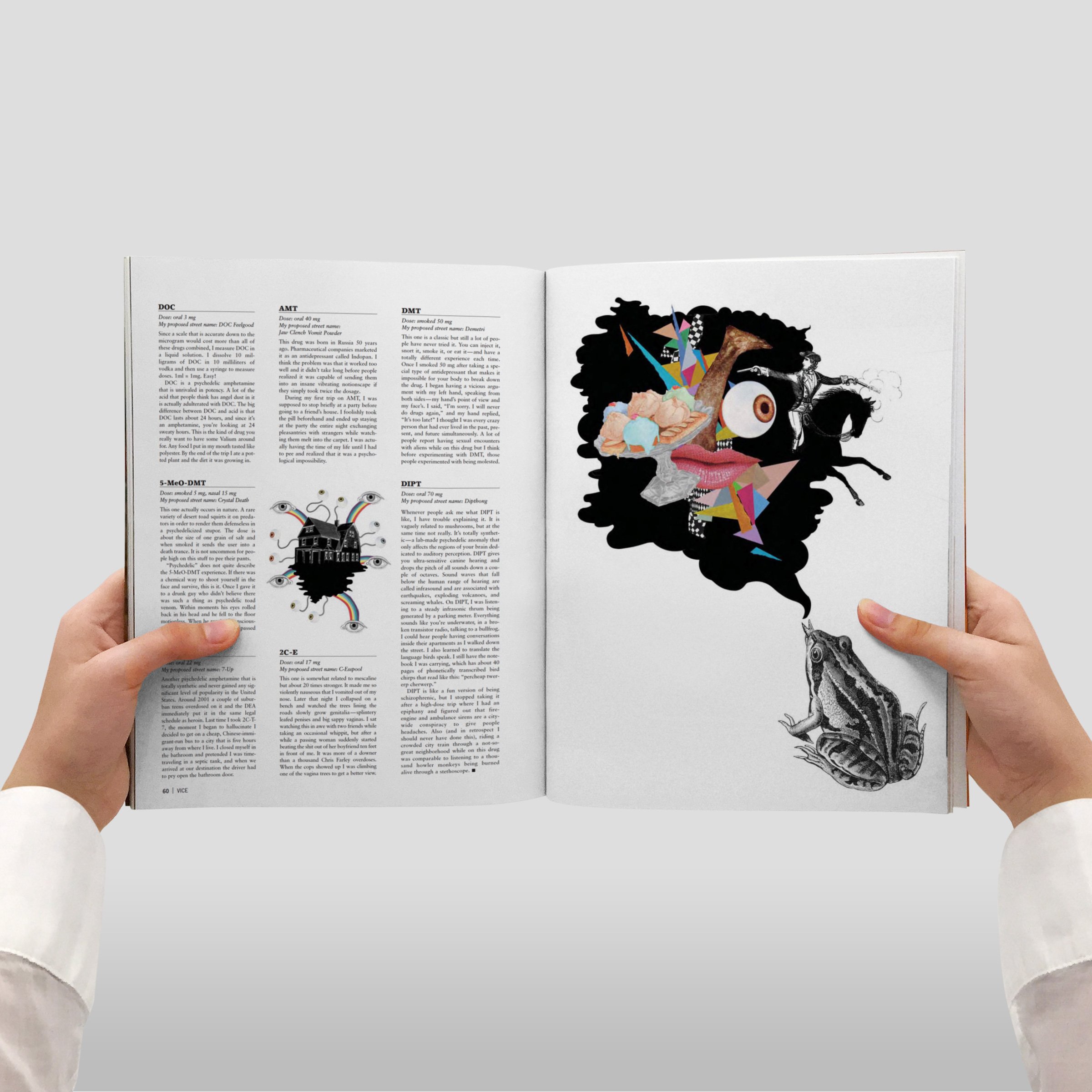 VICE Magazine, Vol. 15 No. 12, The Fiction Issue, December 2008