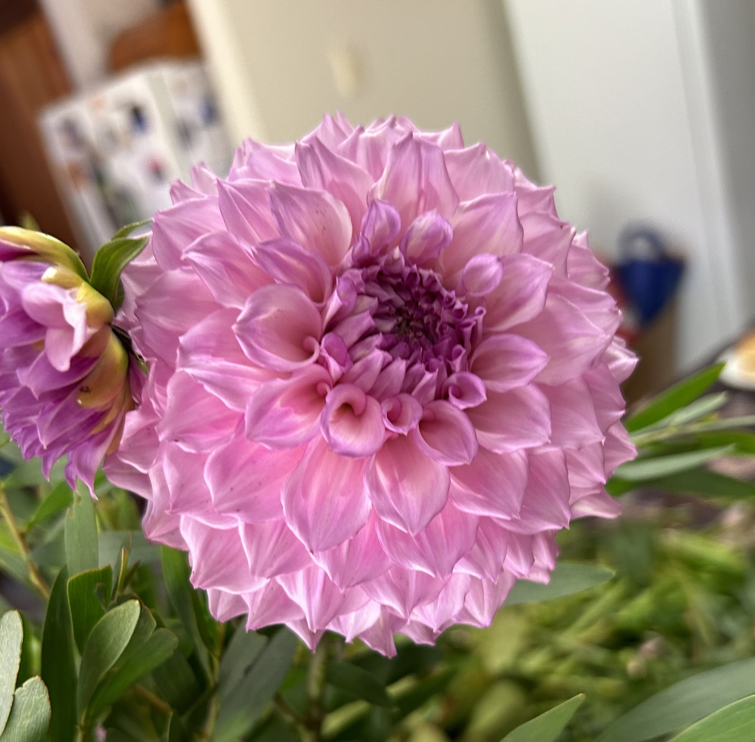 IMG_6112.jpeg