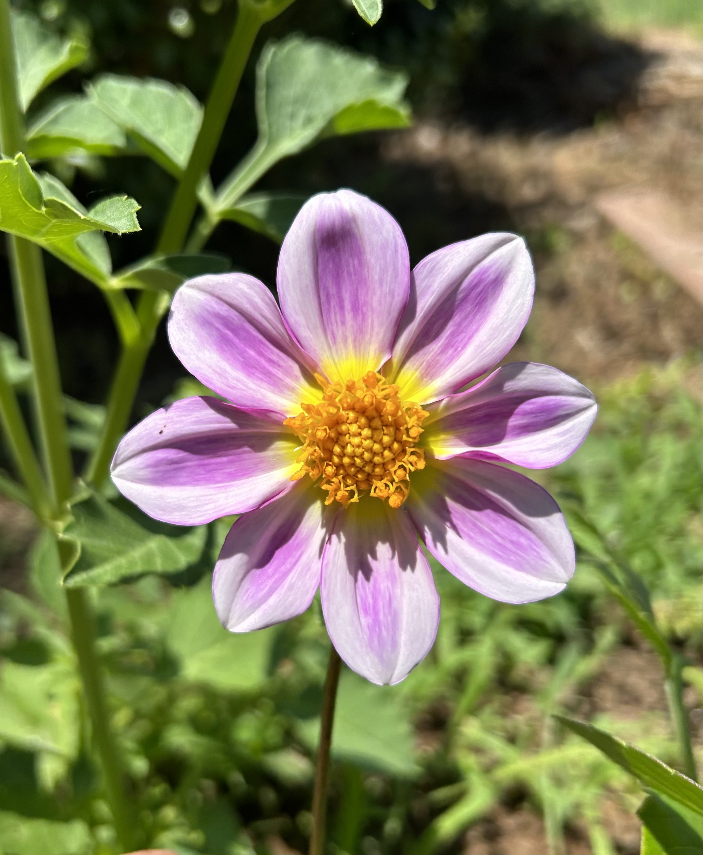 IMG_0426.jpeg