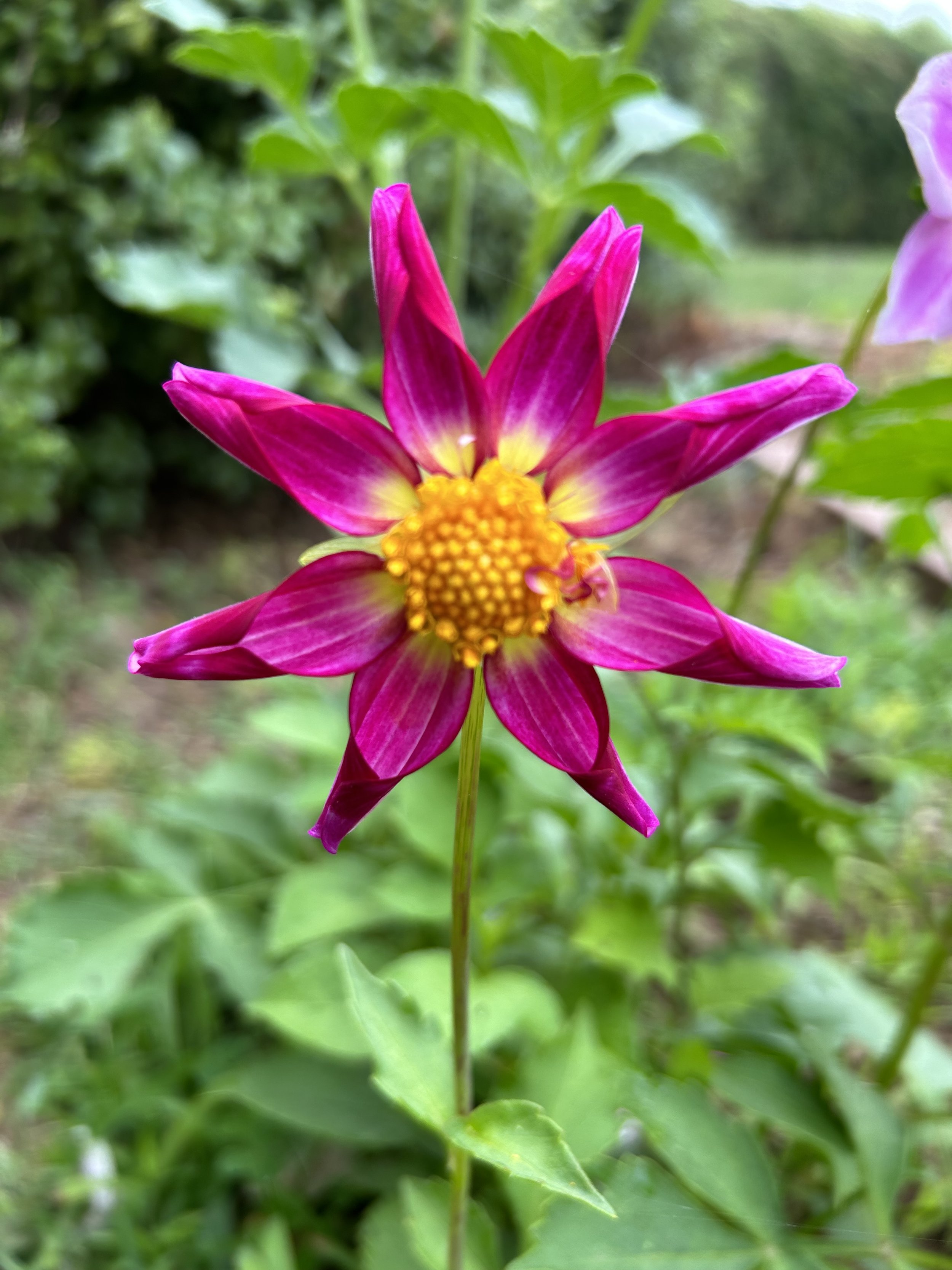 IMG_0473.jpeg
