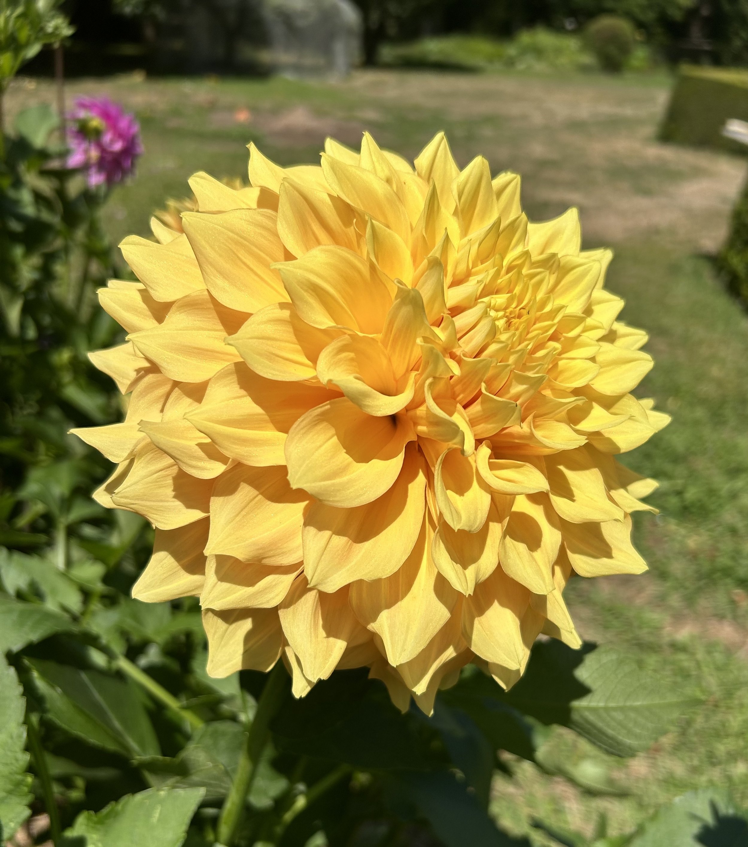 IMG_1021.jpeg