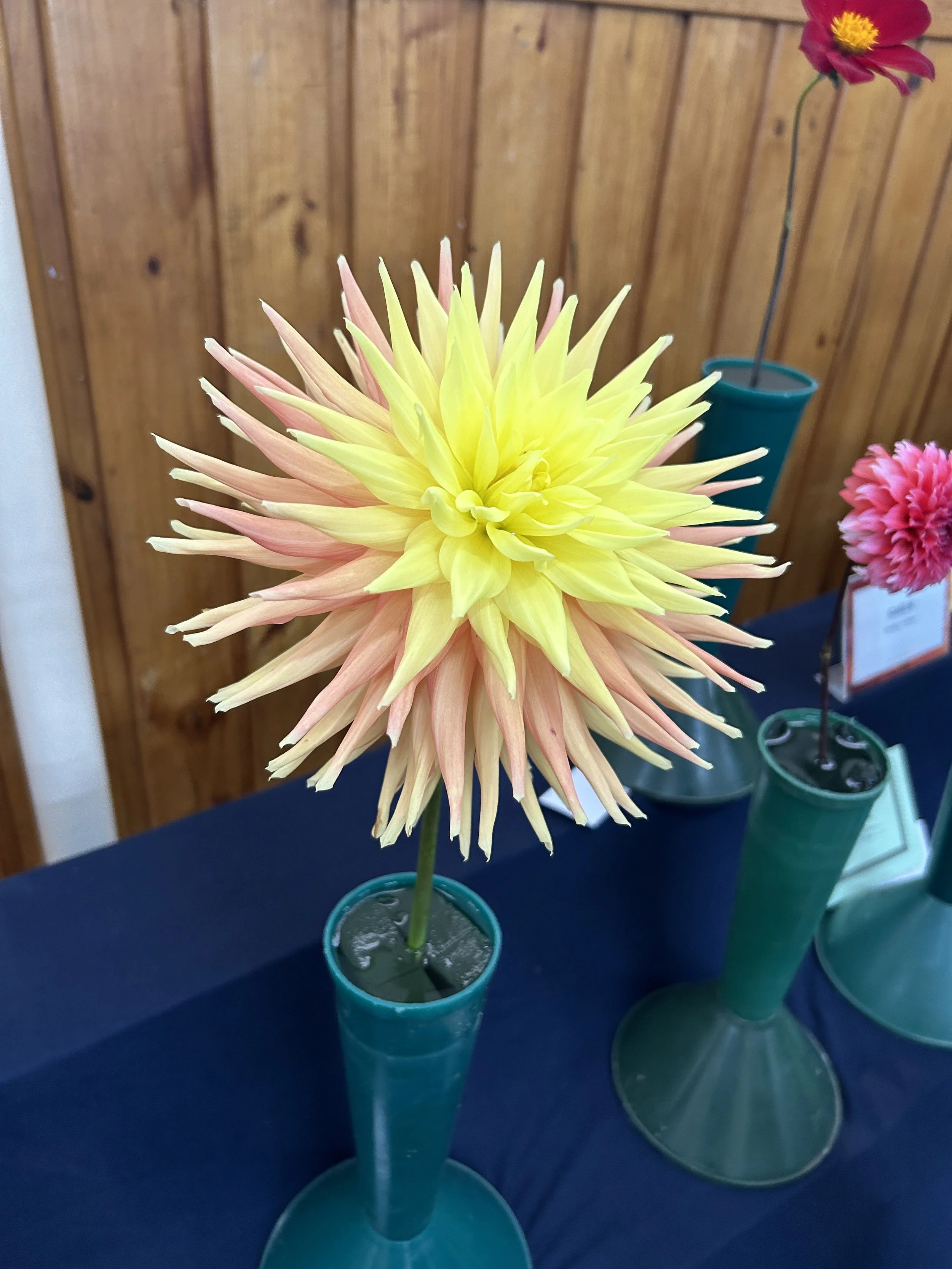 IMG_0131.jpeg
