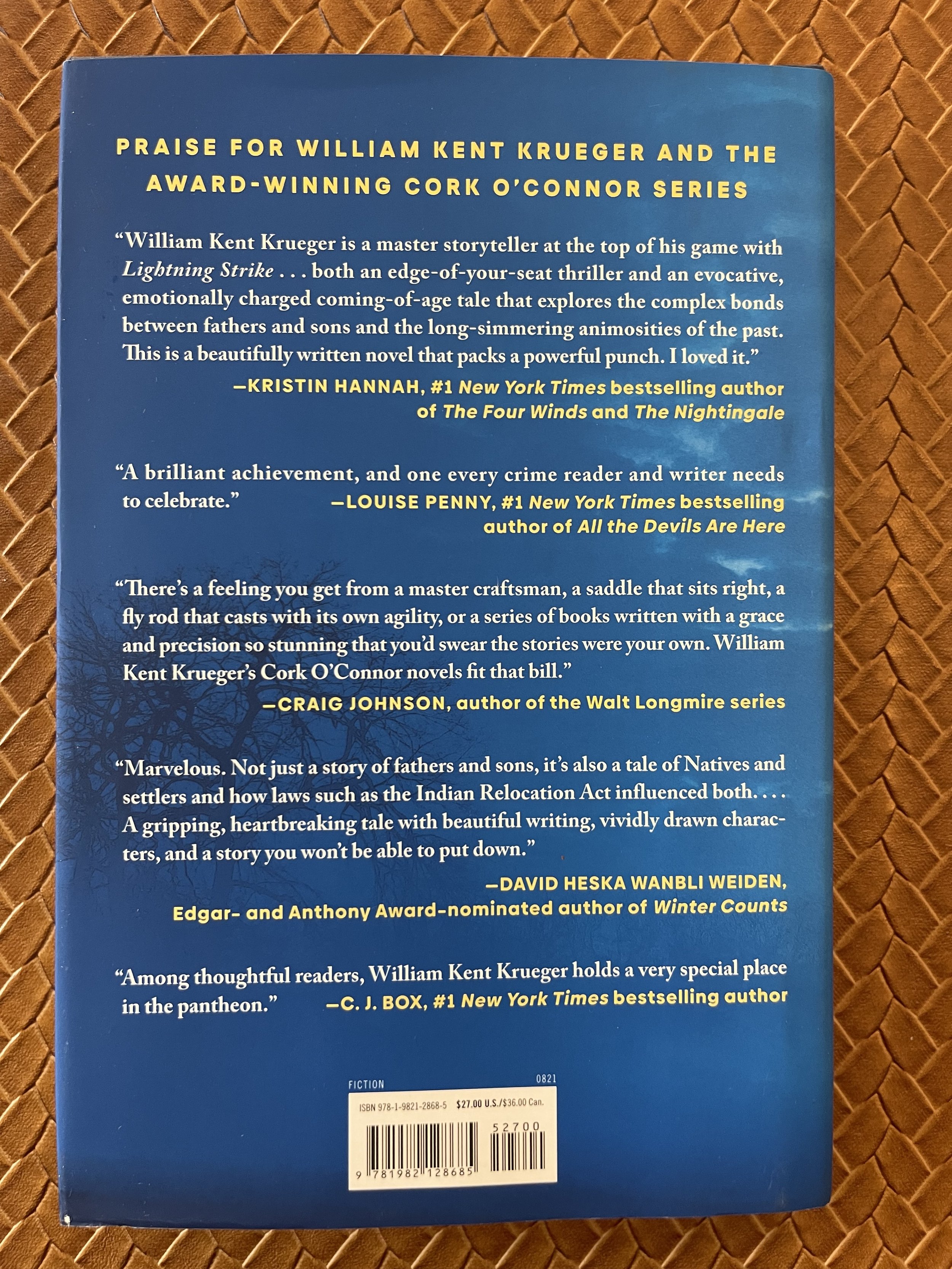 Cork O'Connor #18 Lightning Strike - Hardcover- Back Cover.jpg