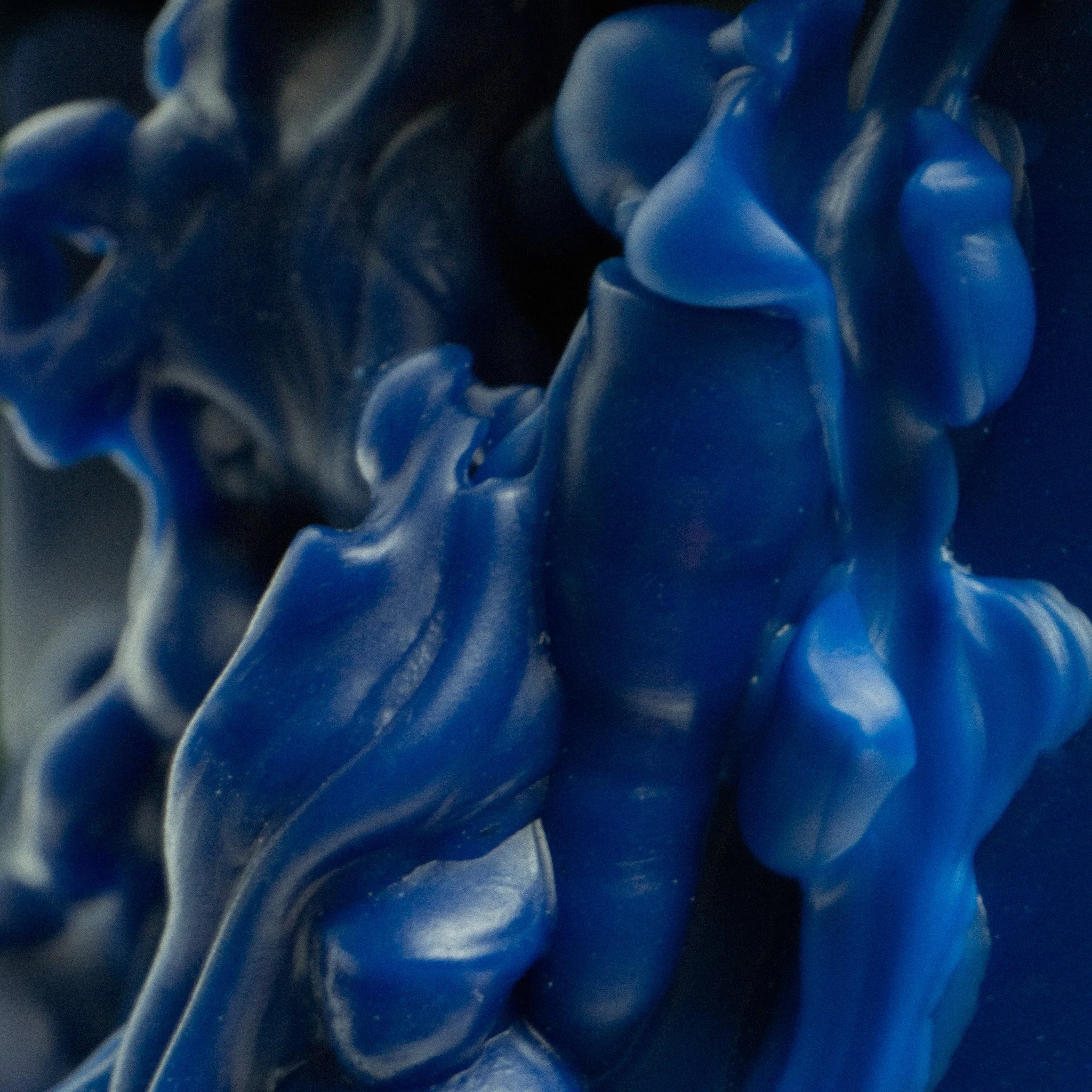 DIM08797.jpg